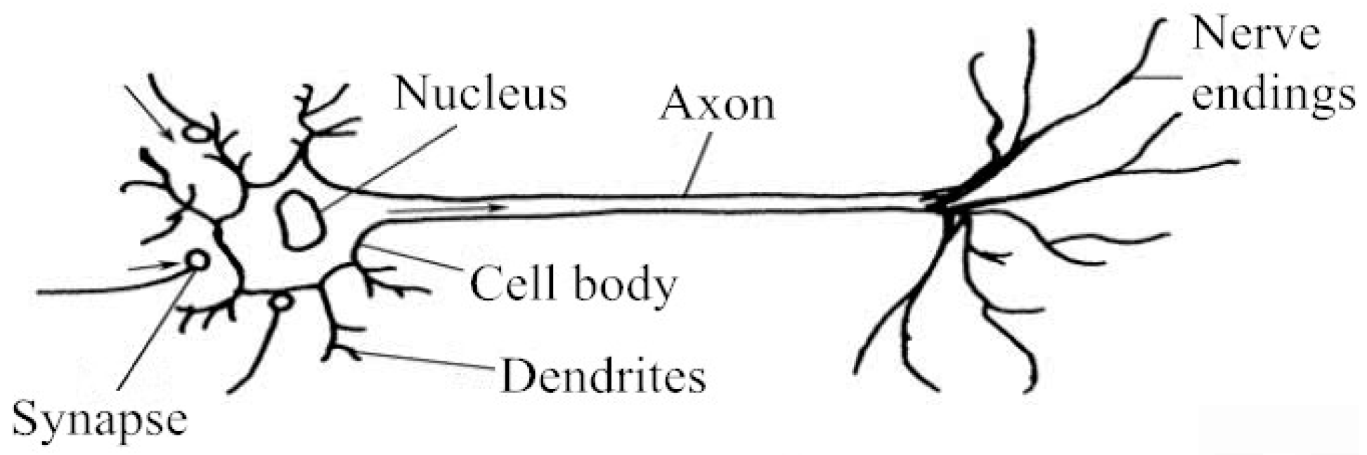 Systems 11 00291 g001