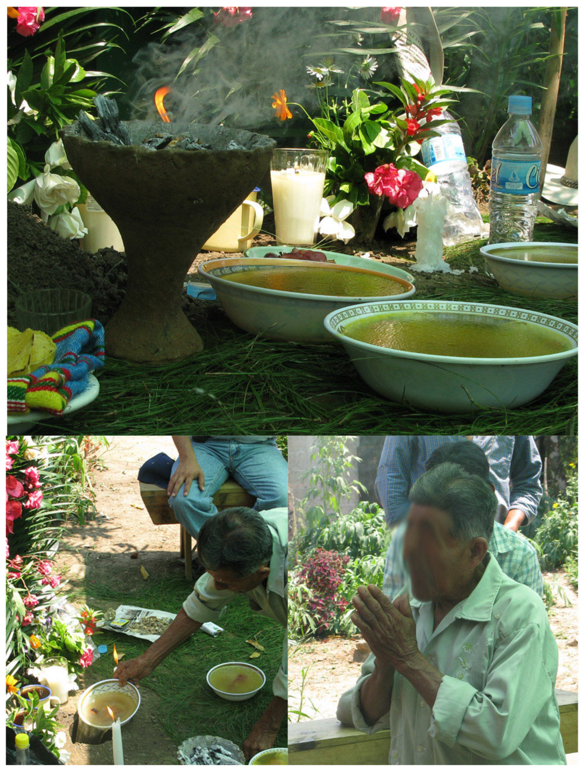 Systems 11 00342 g0a2 Systems 11 00342 g0a2