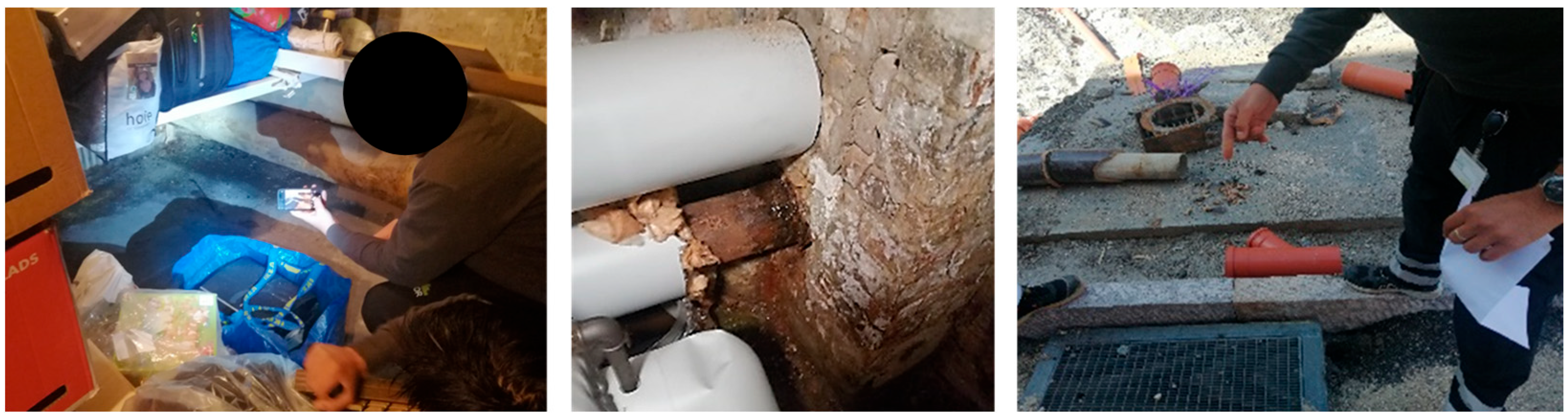 Systems 12 00431 g001