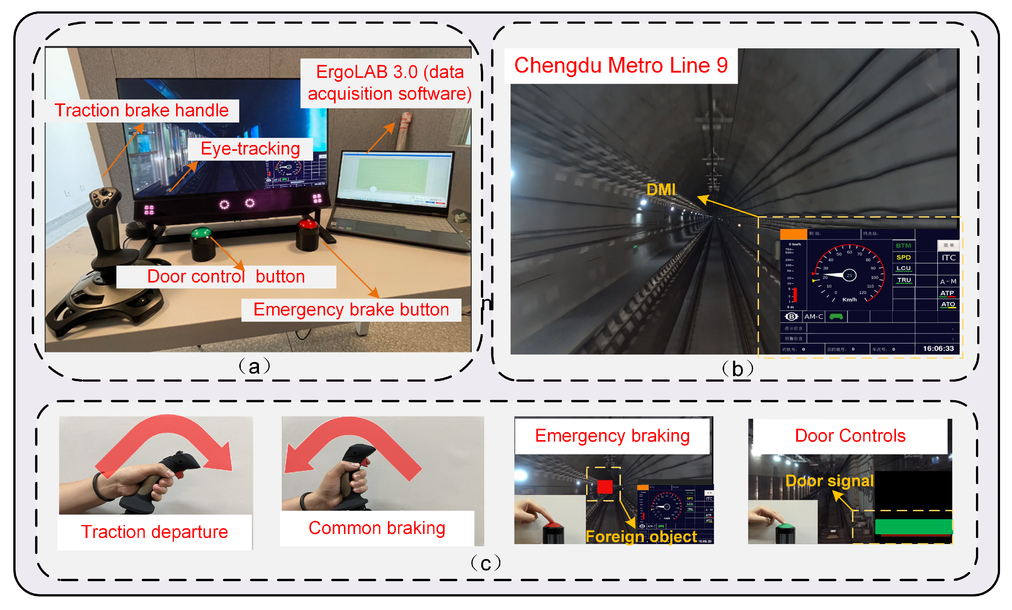 Systems 12 00576 g001