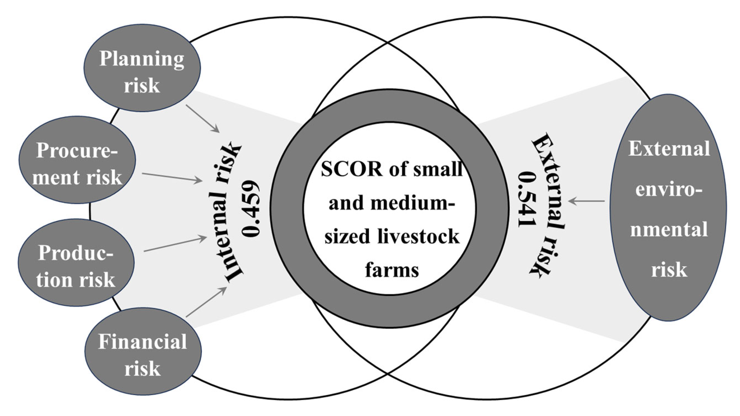 Systems 13 00308 g003