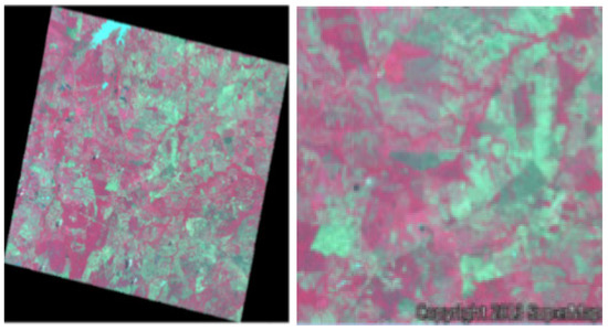 K  Firestick subscription renewal review