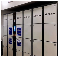 Systems 13 00755 i007