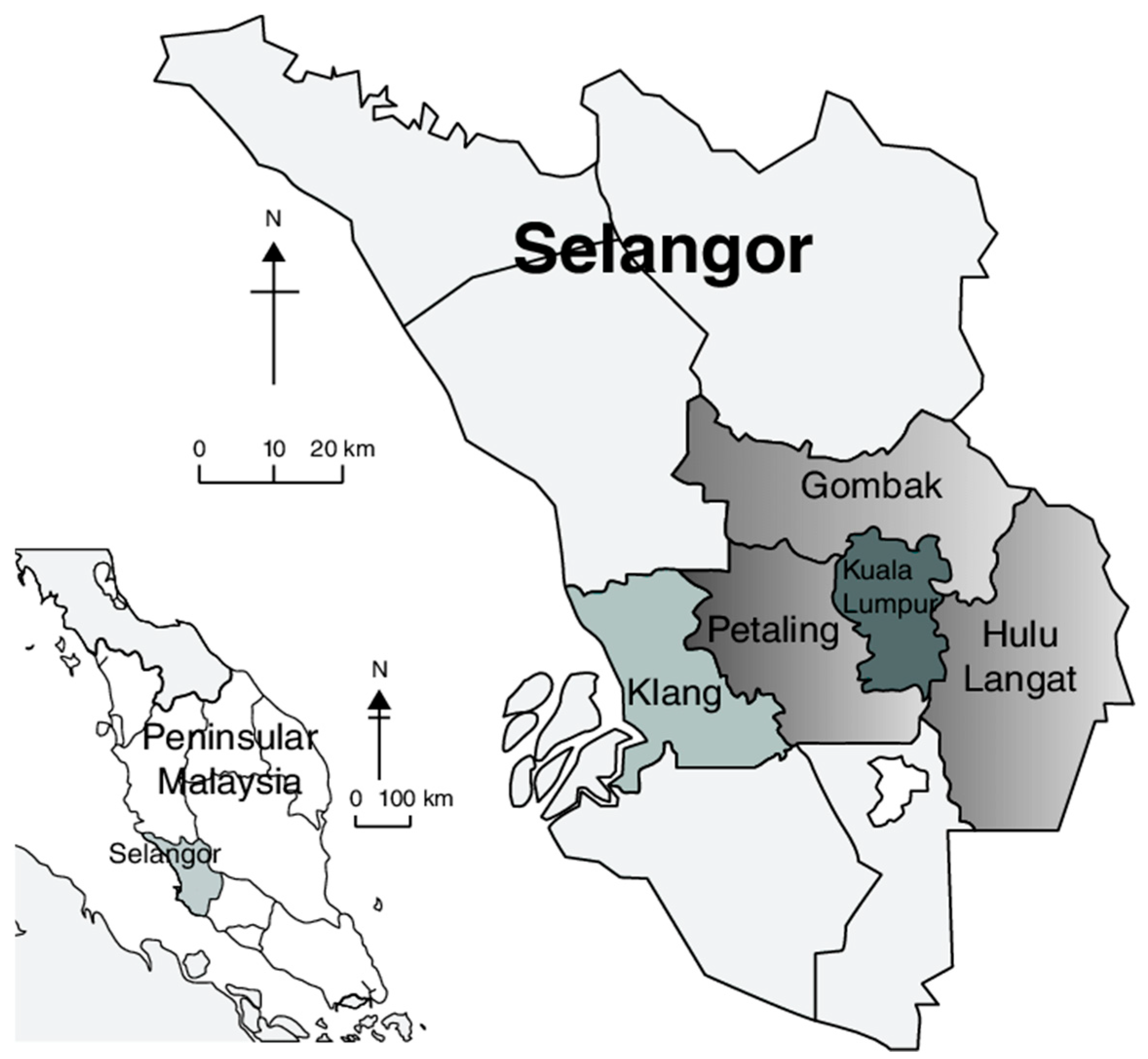 Systems 13 01045 g002