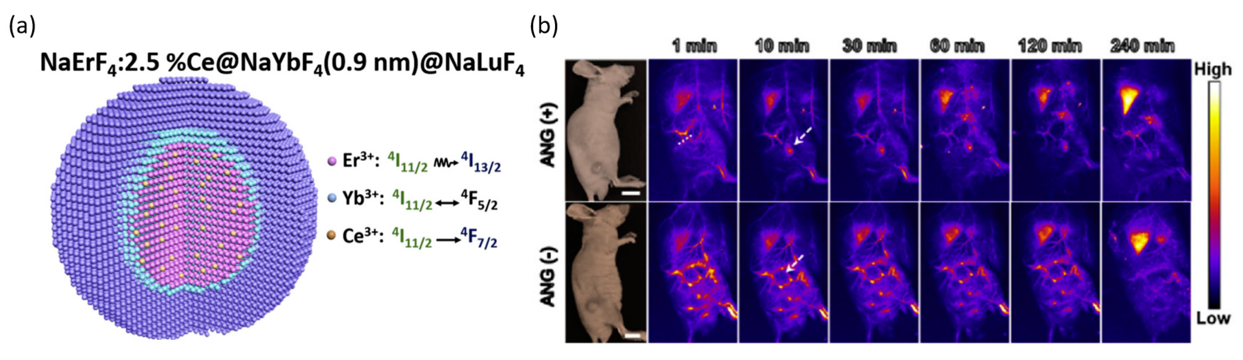 Targets 01 00003 g003