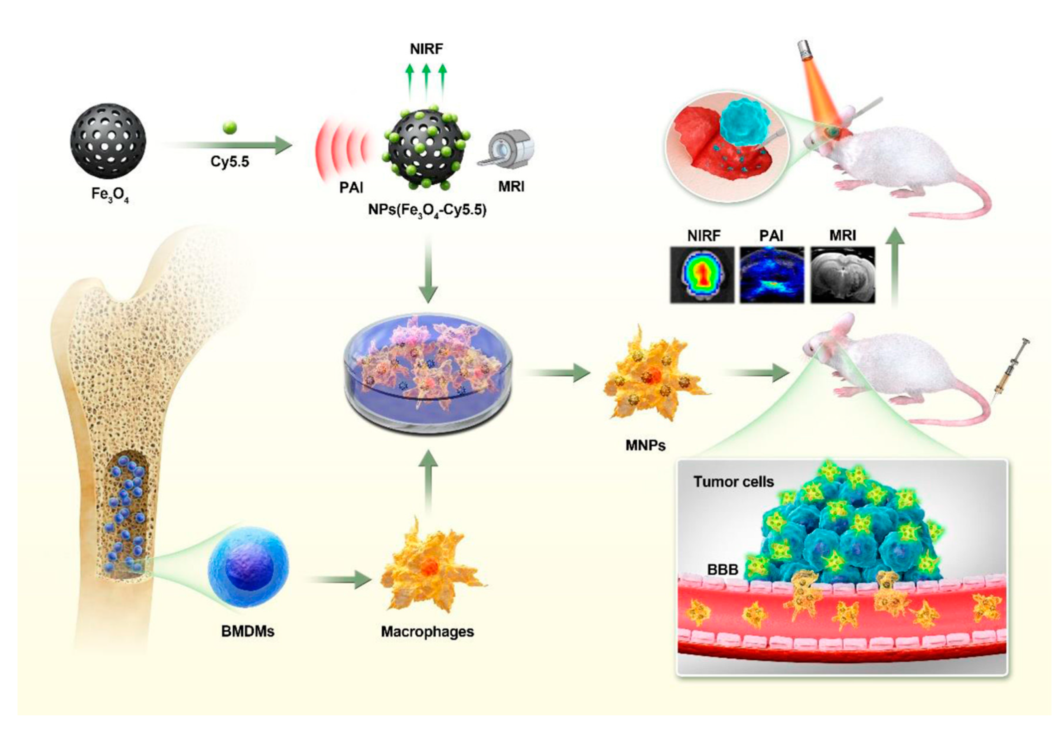 Targets 01 00003 g004