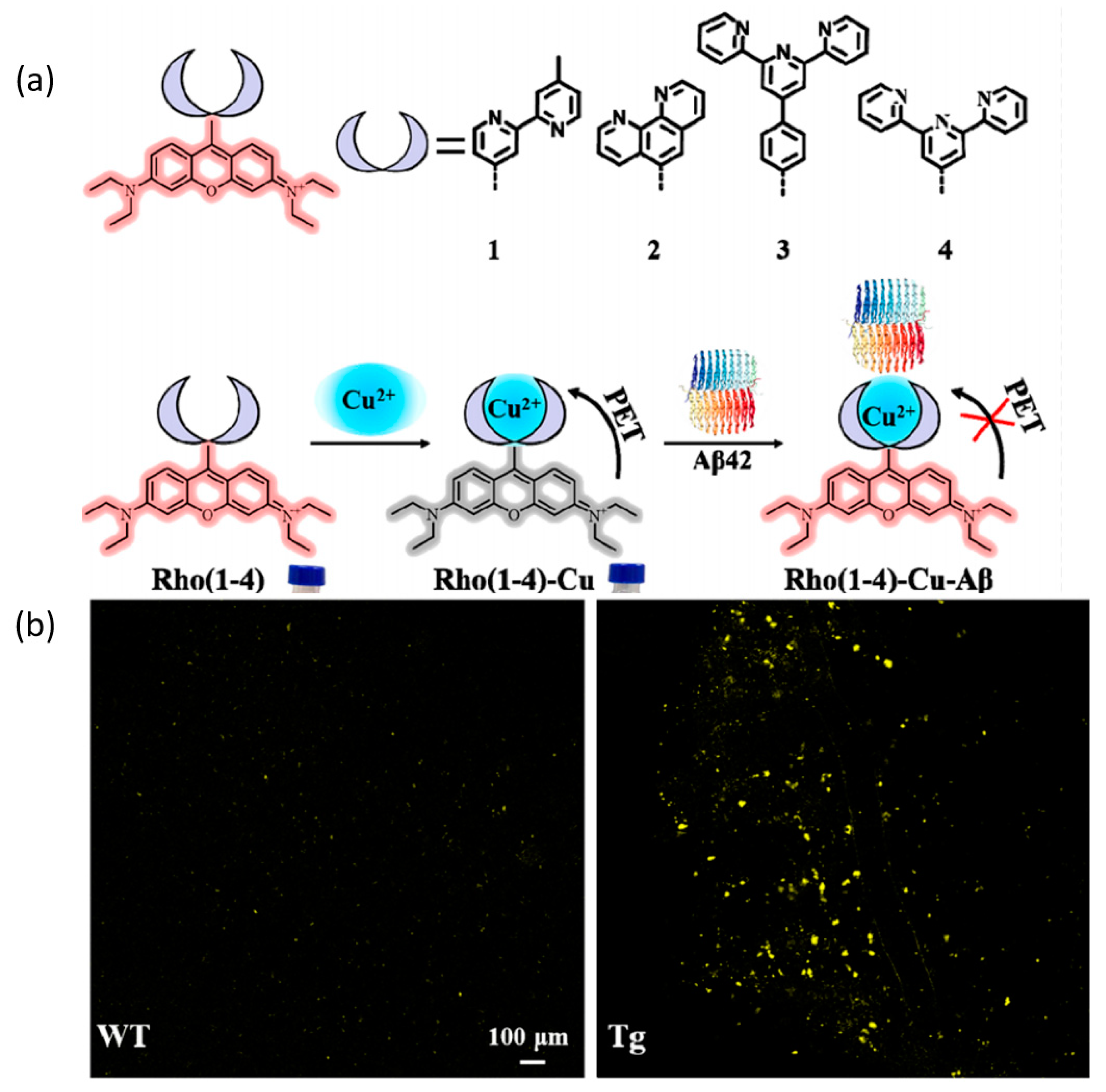 Targets 01 00003 g010