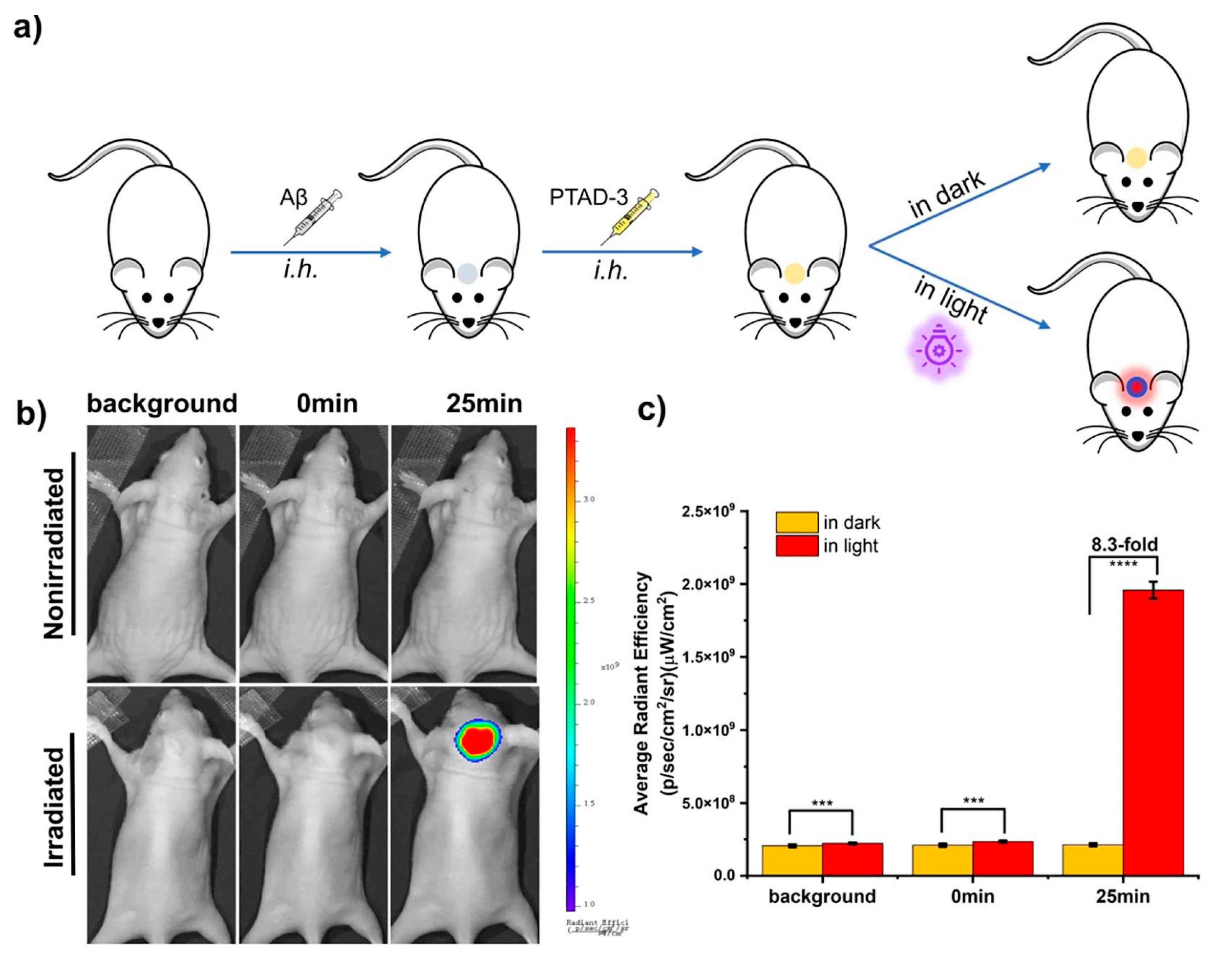 Targets 01 00003 g011