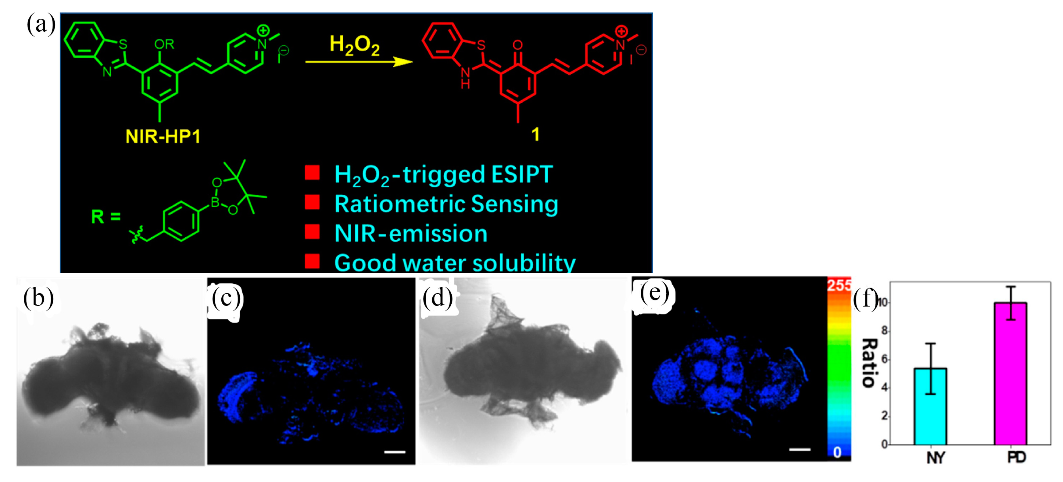 Targets 01 00003 g015
