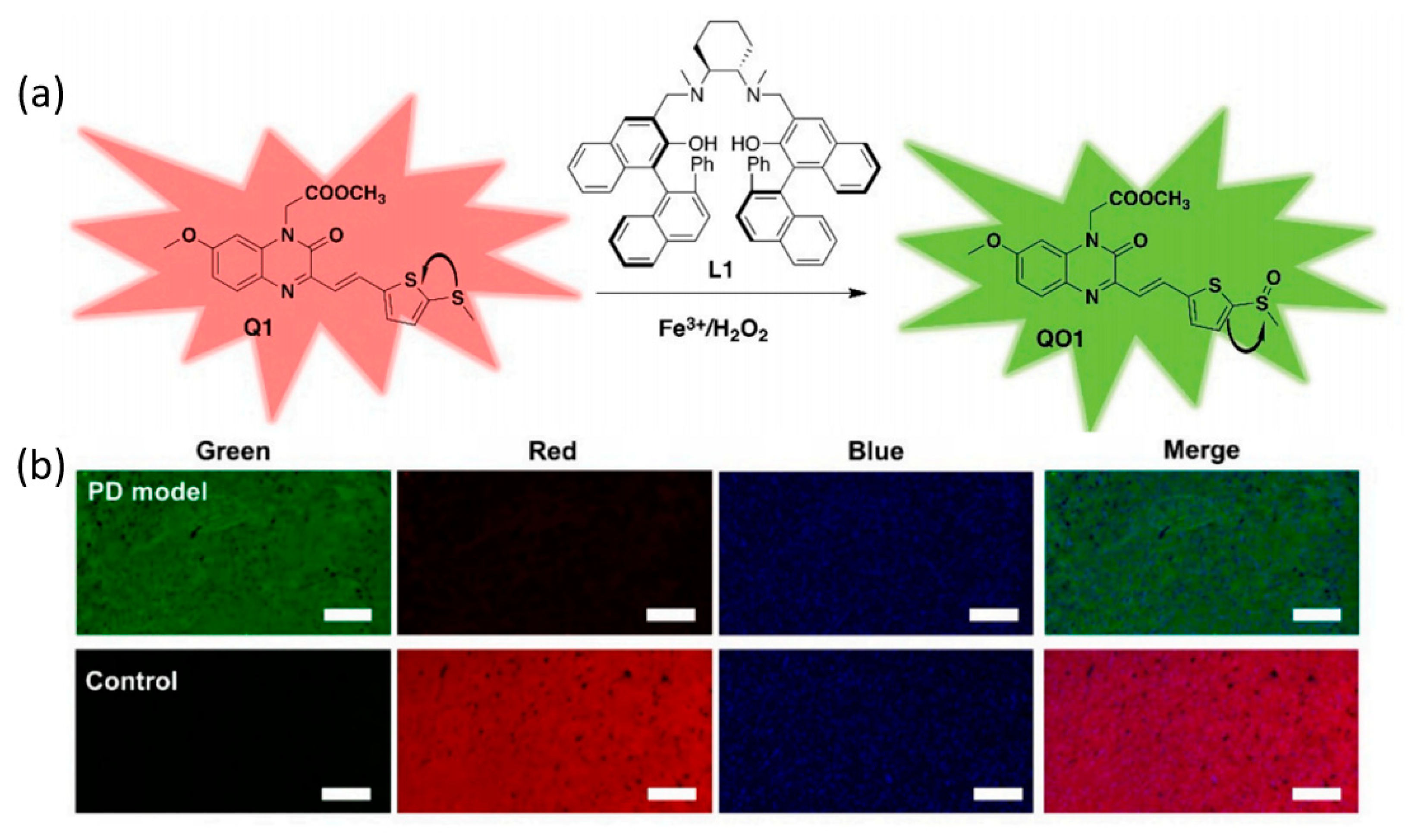 Targets 01 00003 g016