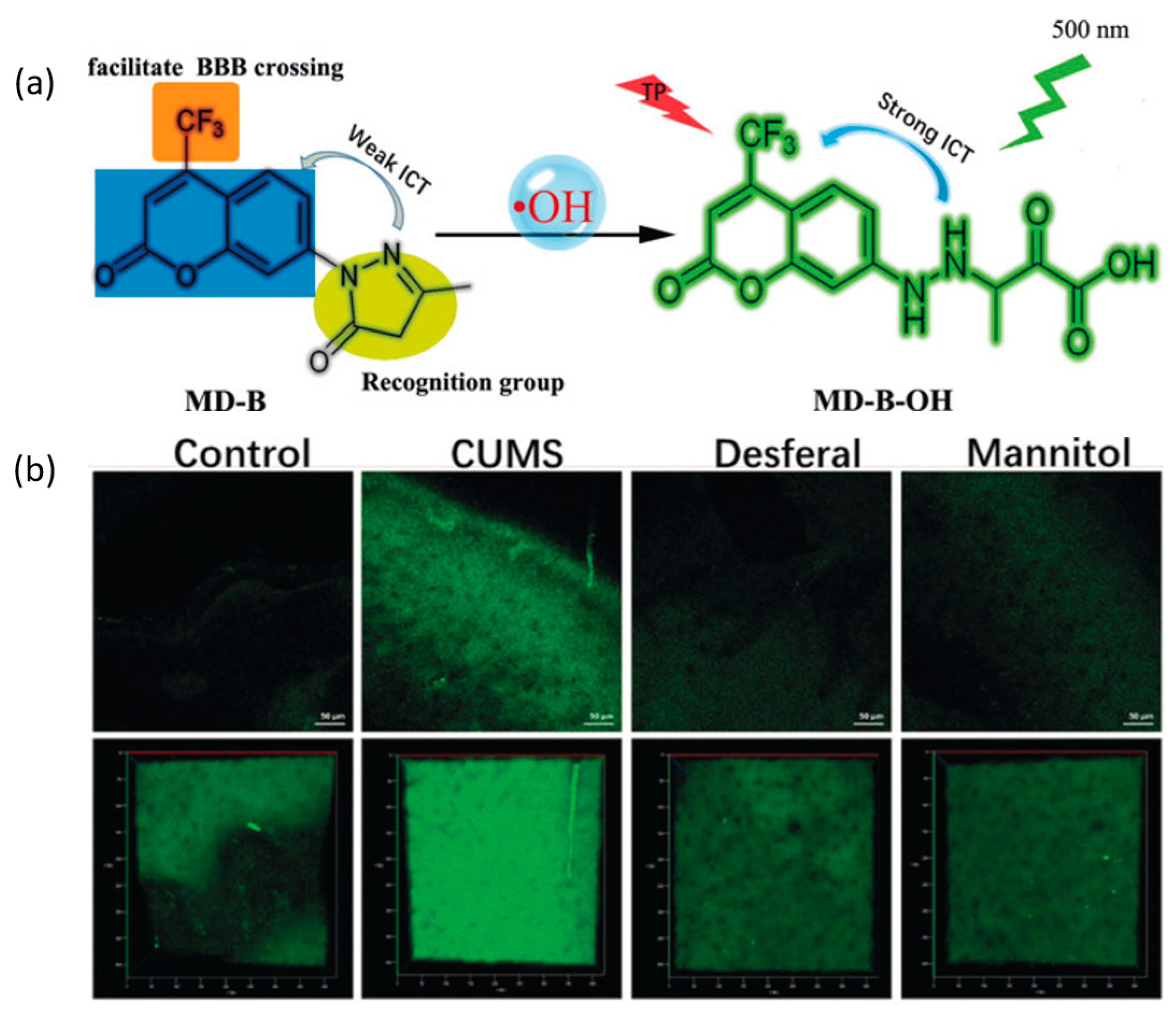 Targets 01 00003 g019
