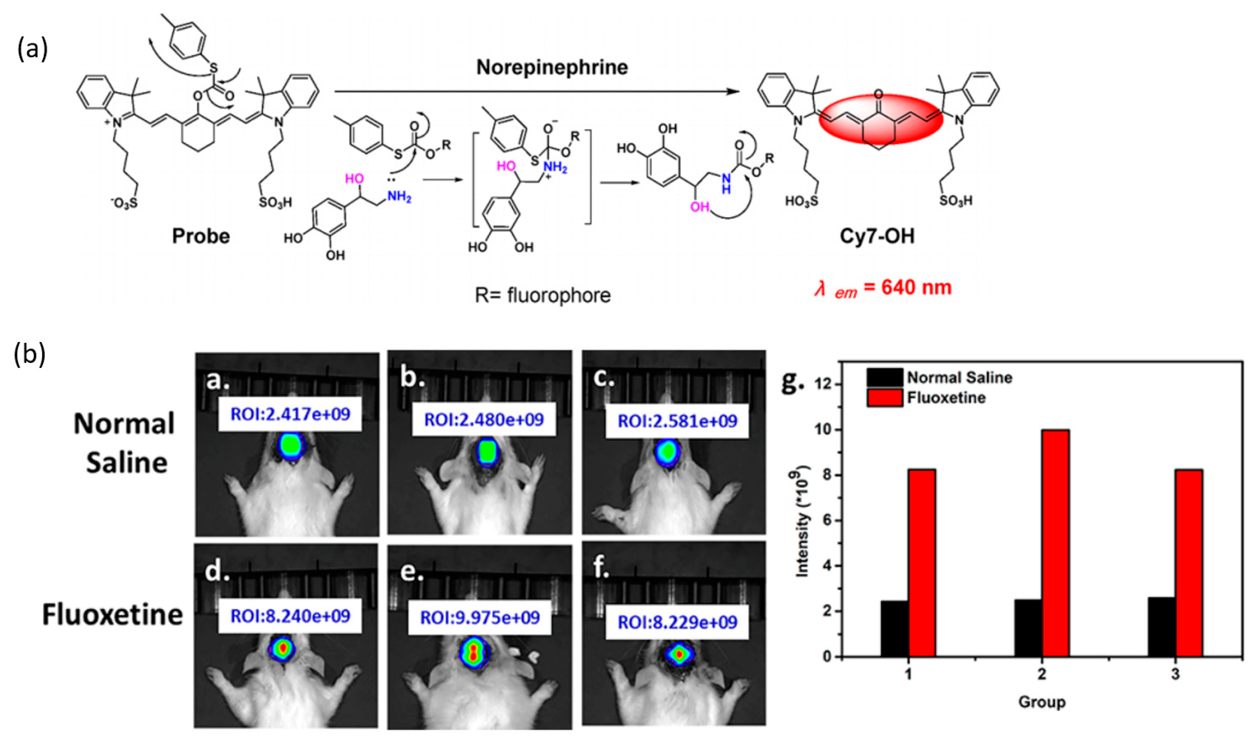 Targets 01 00003 g020