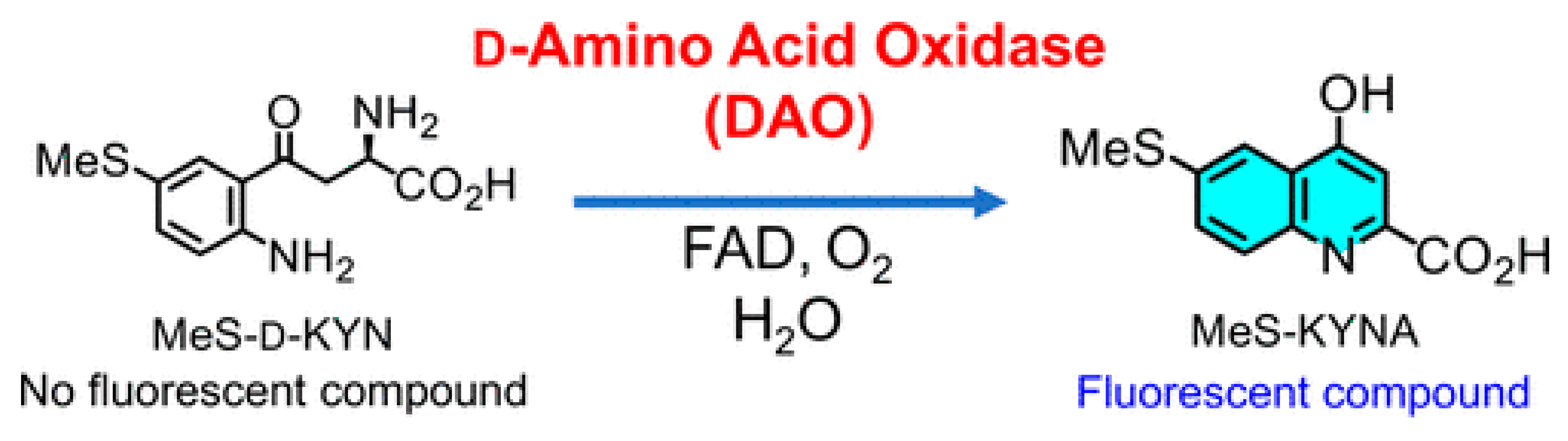 Targets 01 00003 g024