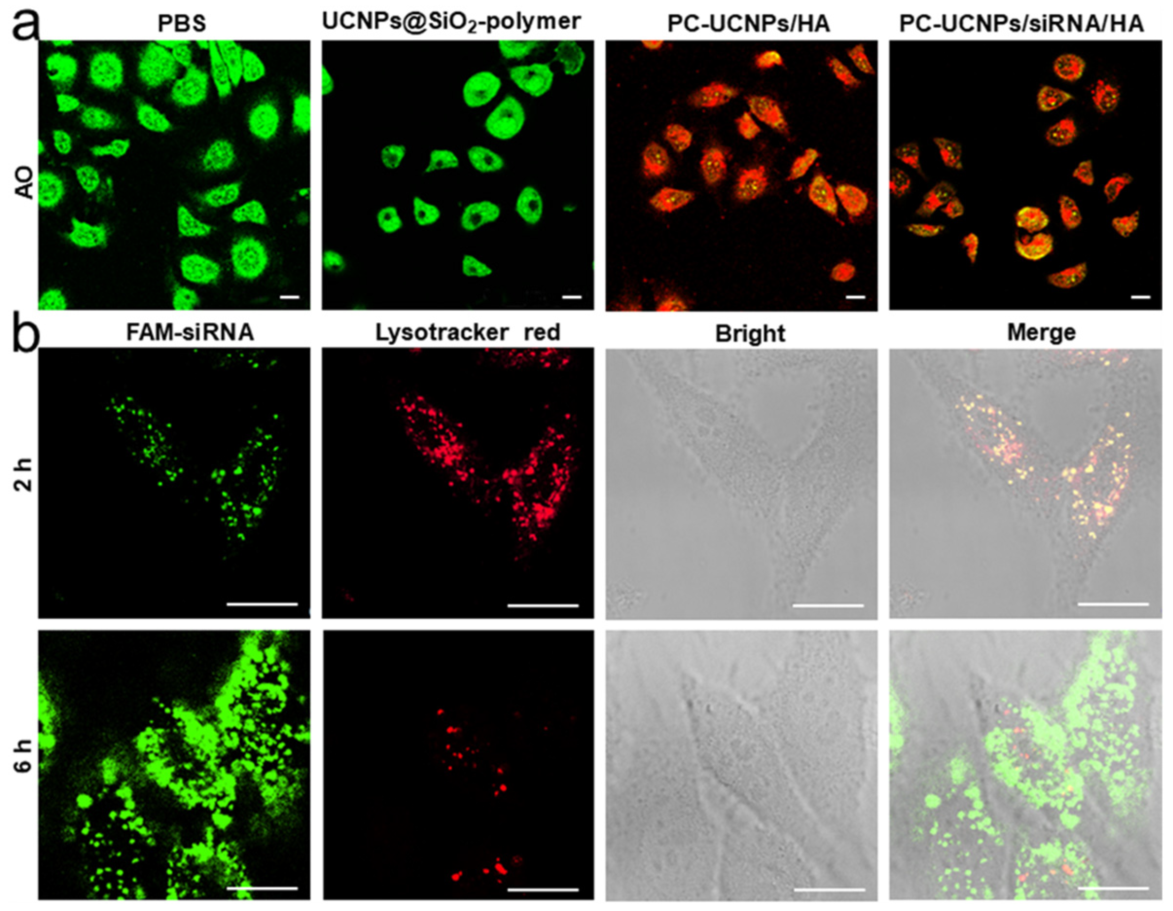Targets 01 00006 g003
