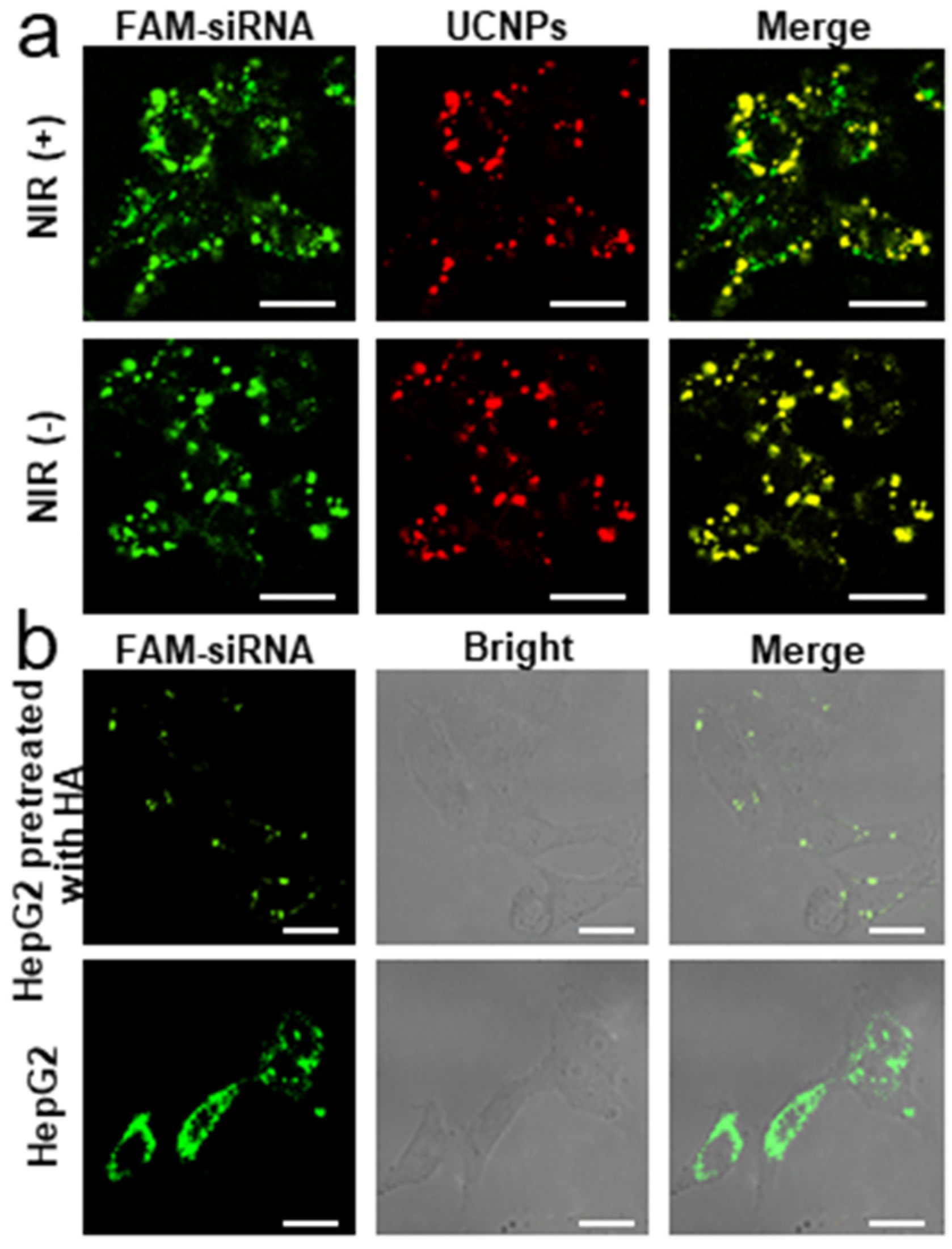 Targets 01 00006 g004