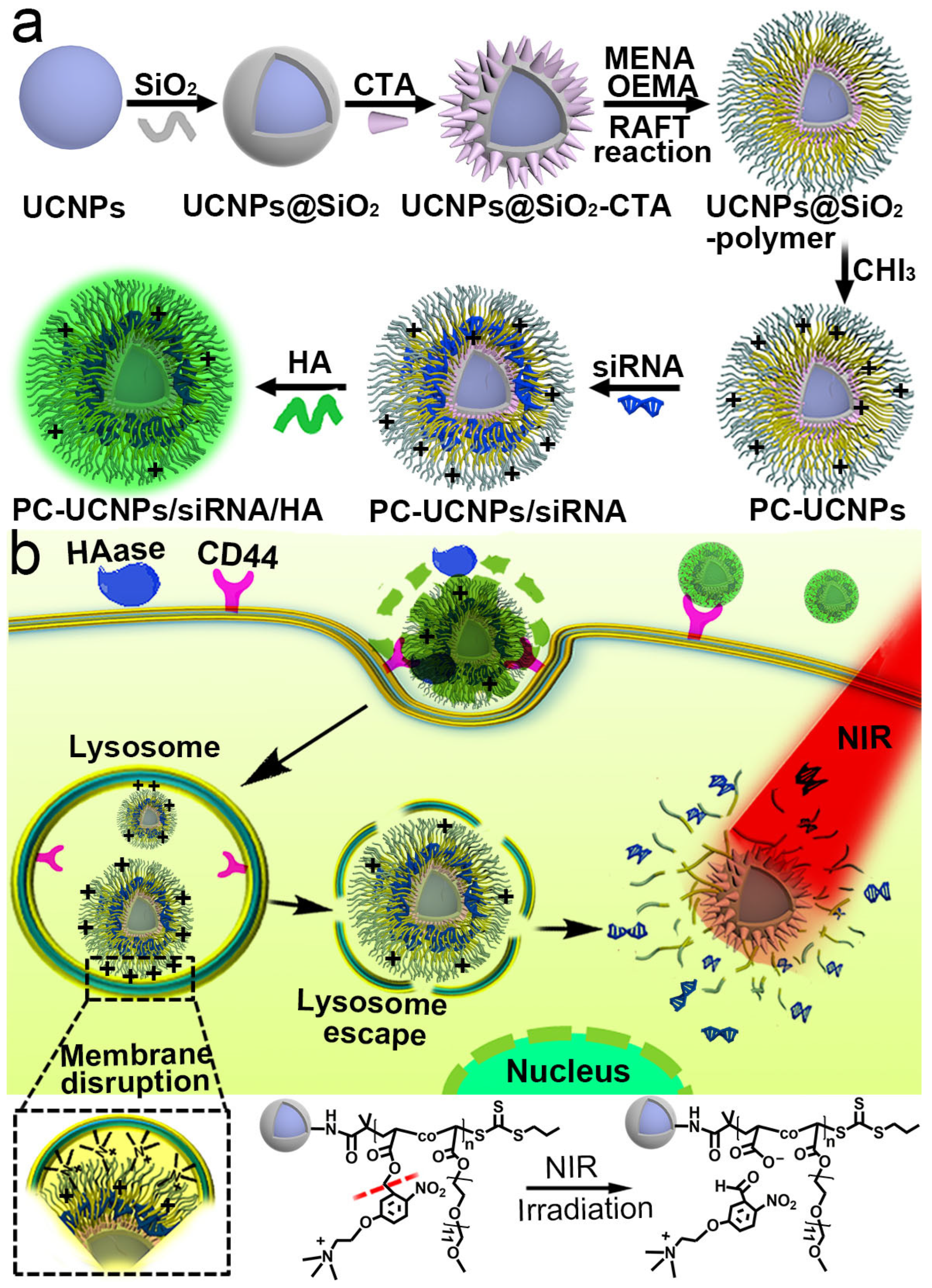 Targets 01 00006 sch001