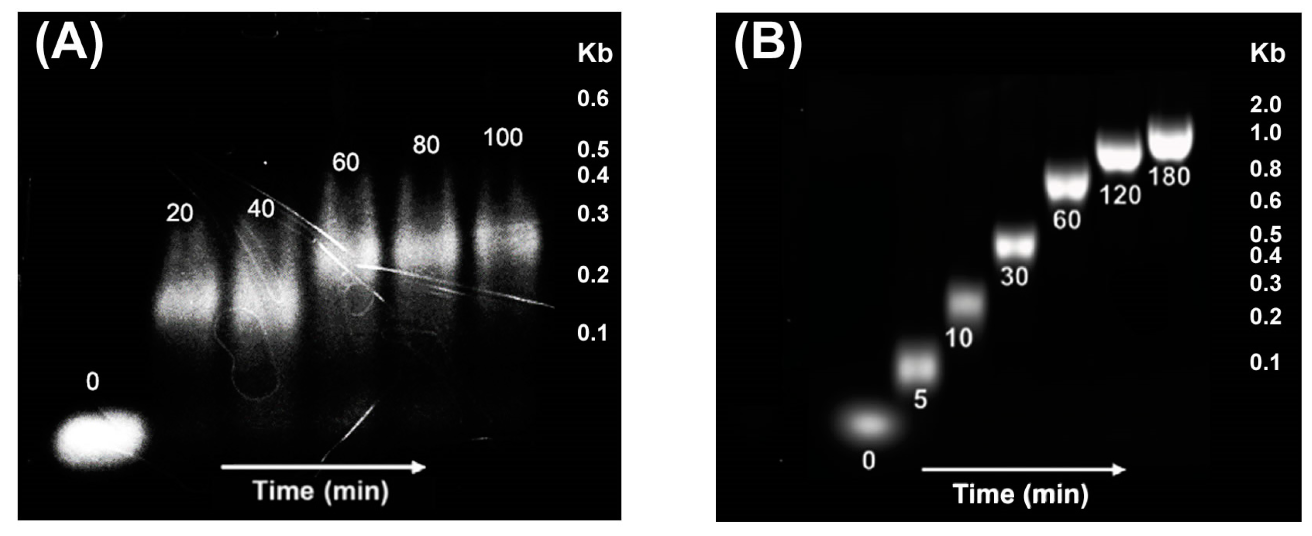 Targets 01 00007 g003