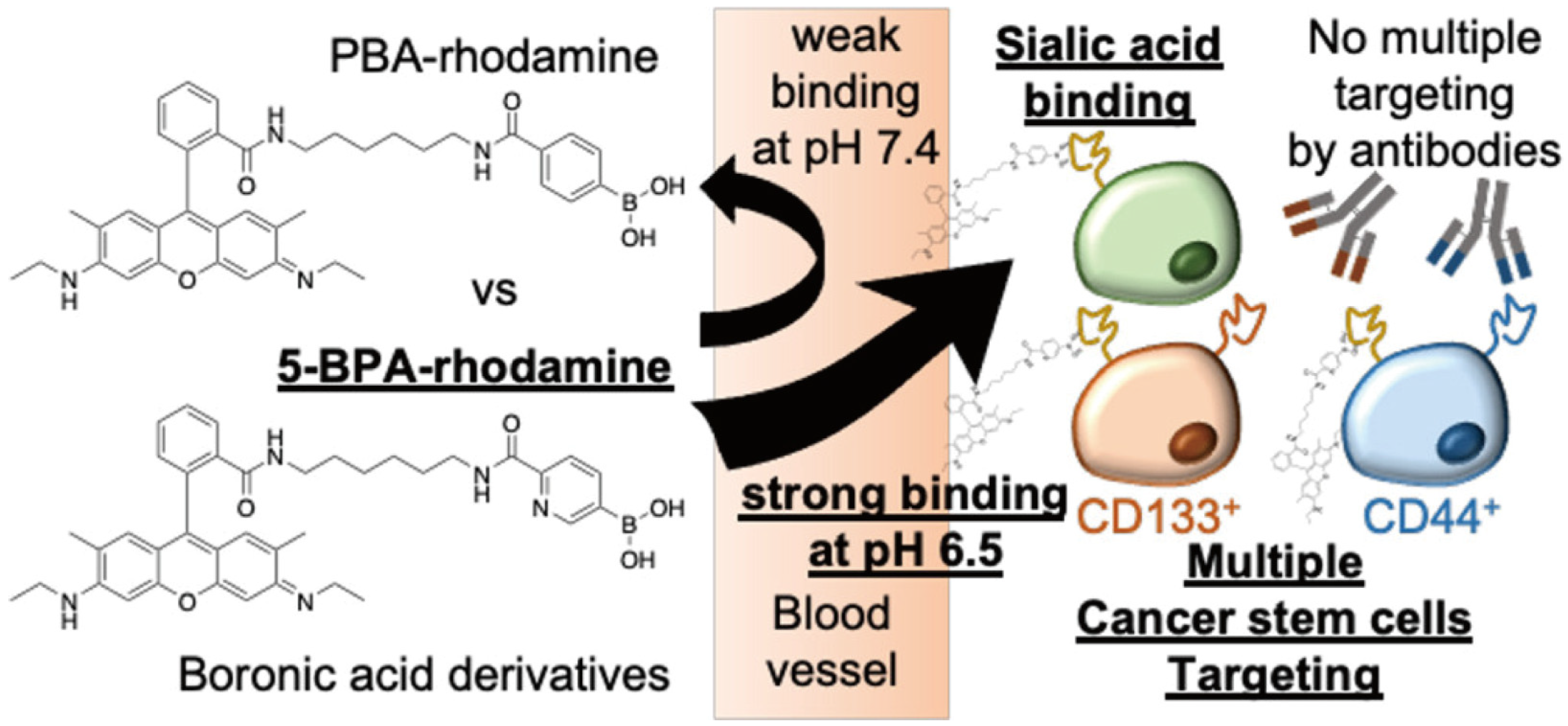 Targets 02 00001 g007
