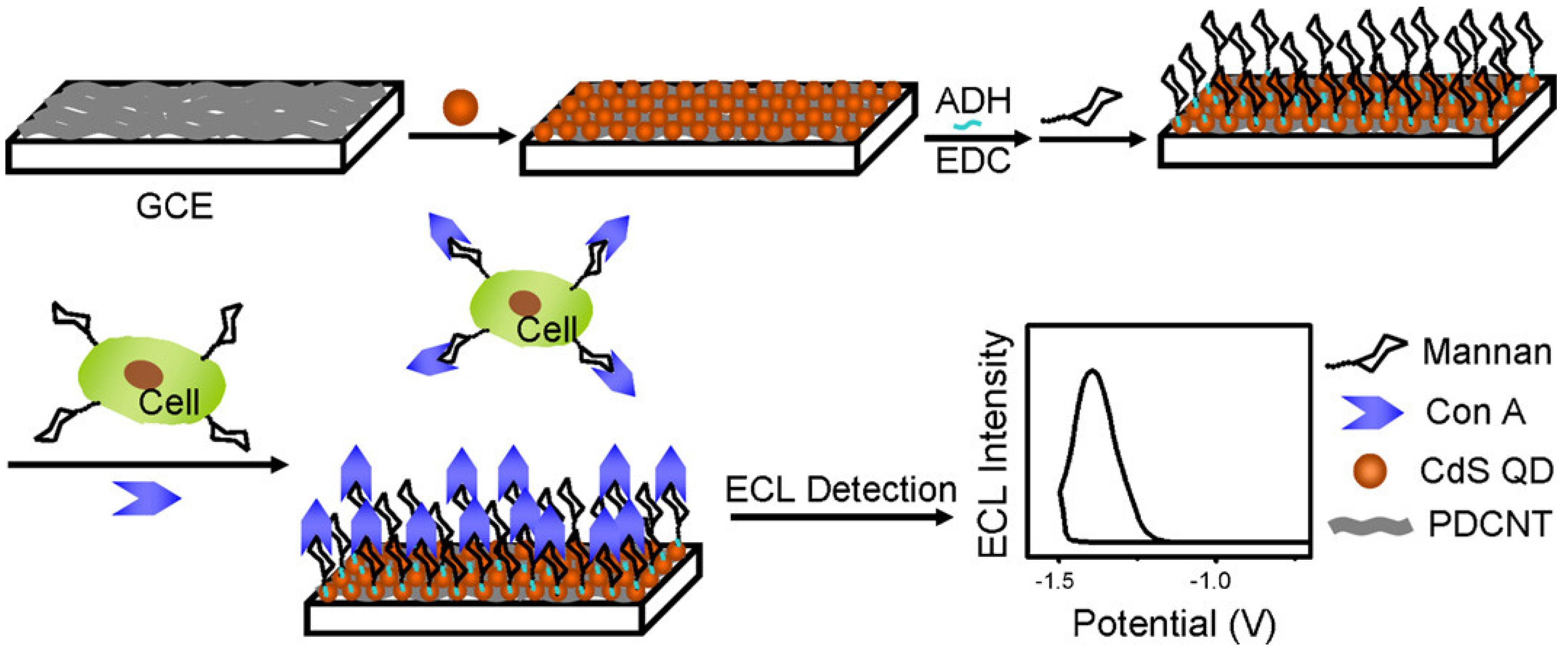 Targets 02 00001 g016
