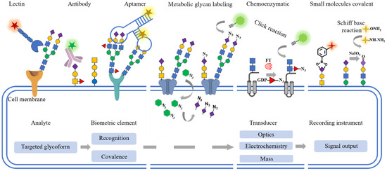 その他 N For Kawasaki Ninja ZX-10R ZX1000 /ABS /KRT 2024 2025 ZX10R