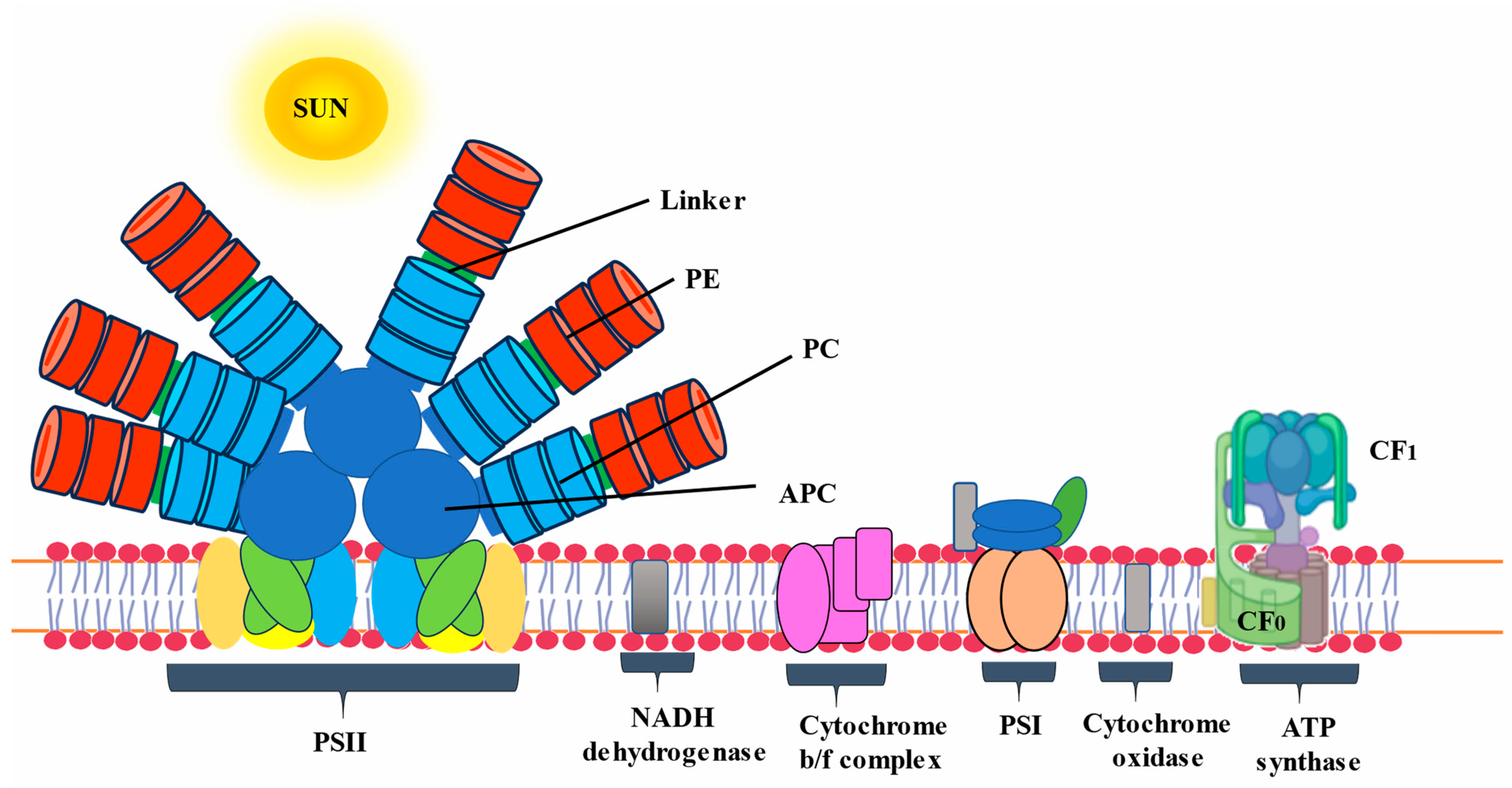 Targets 02 00002 g002