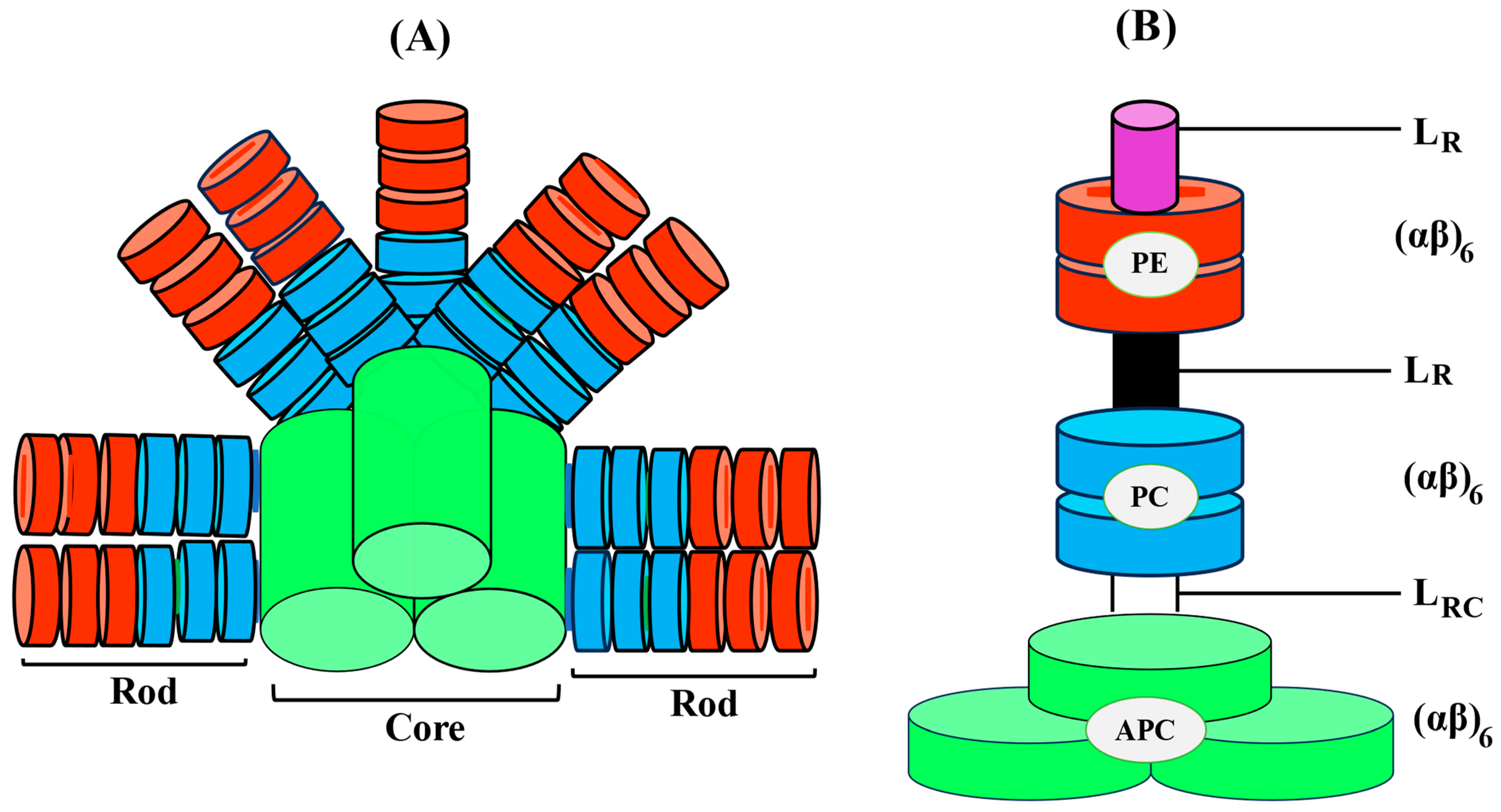 Targets 02 00002 g003