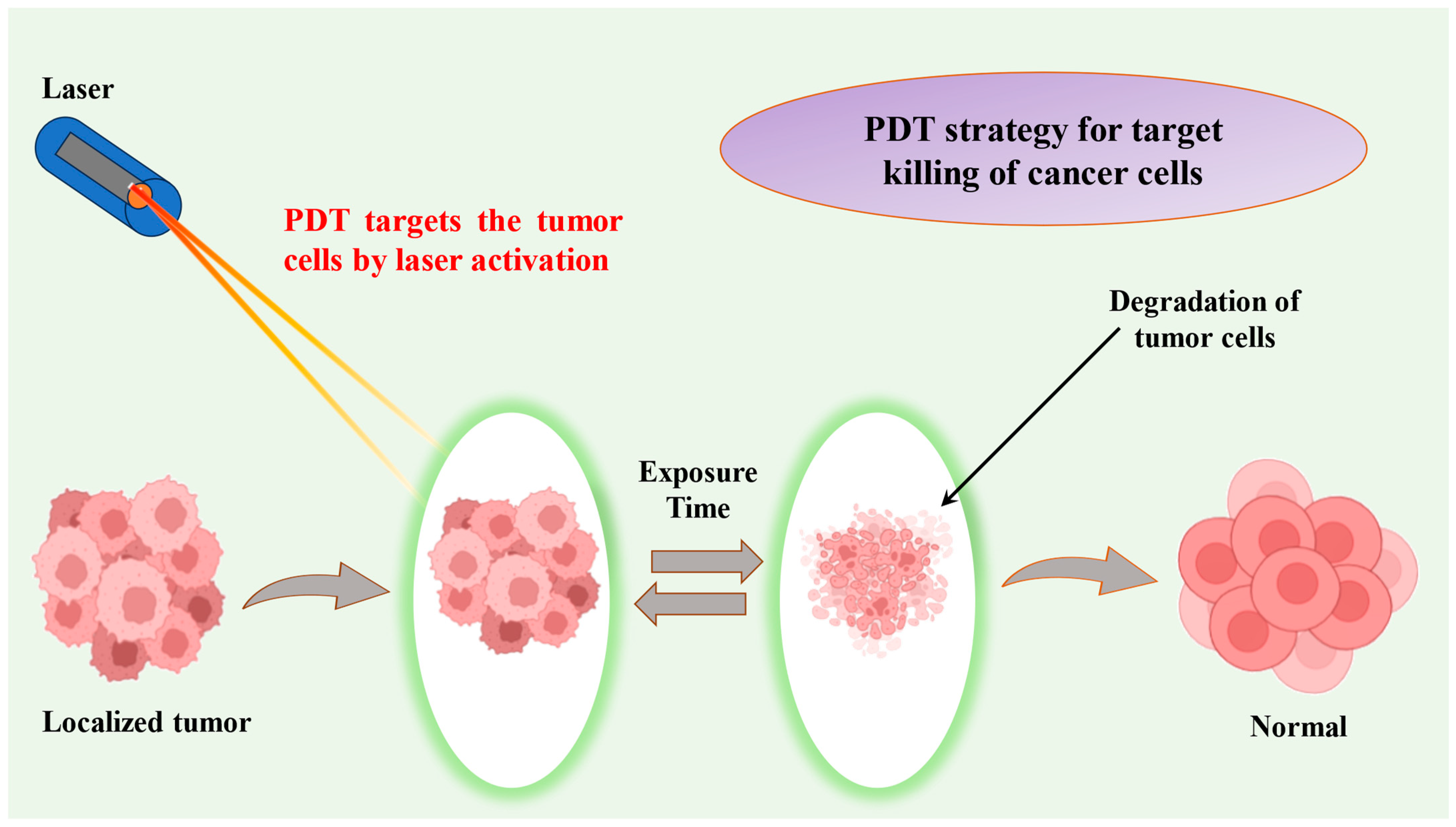 Targets 02 00002 g007