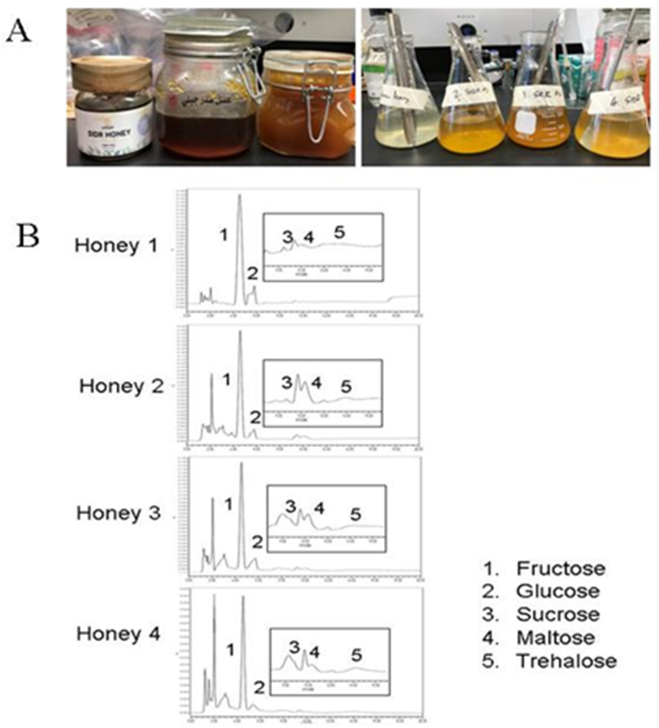 Targets 02 00004 g001