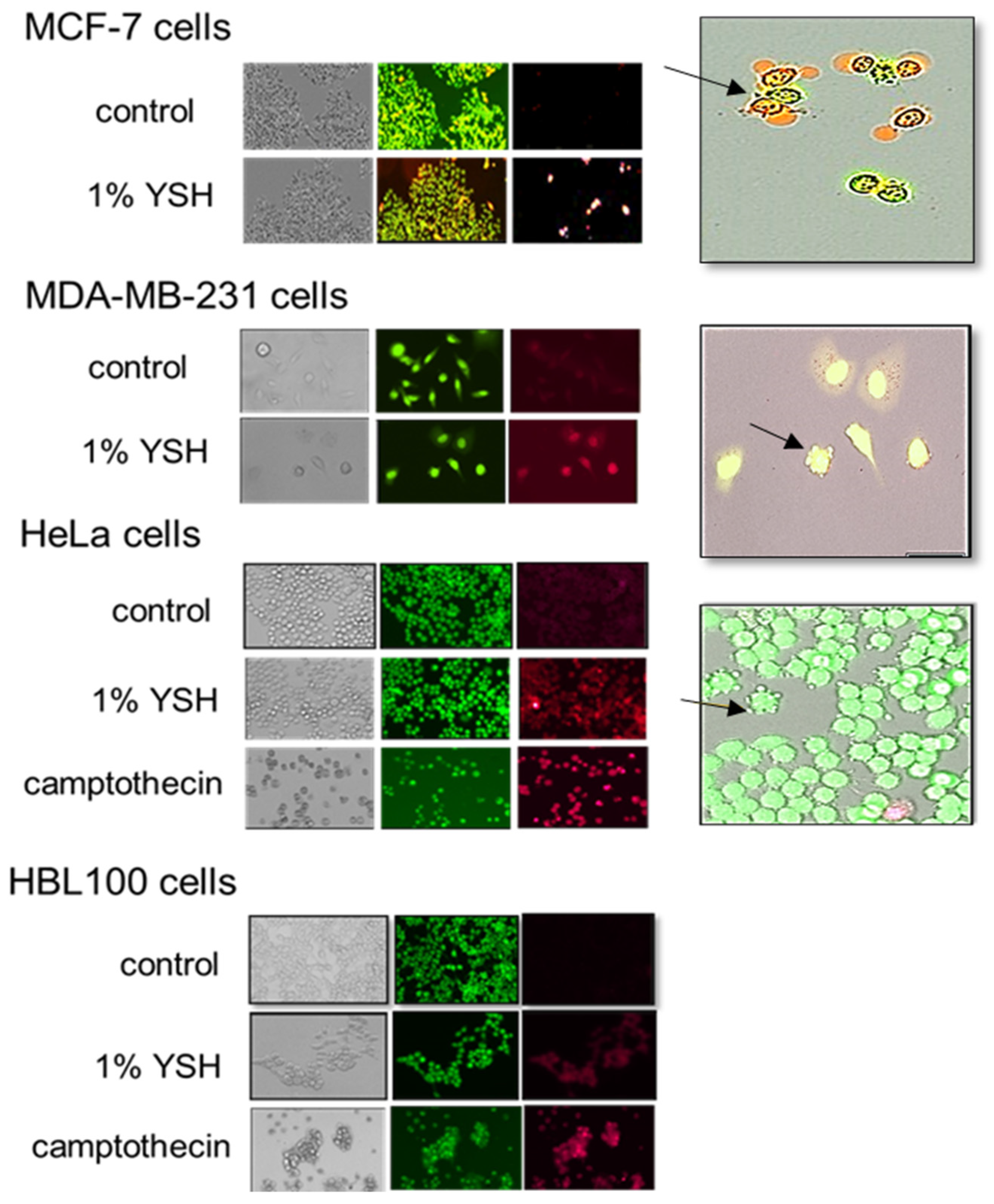 Targets 02 00004 g007