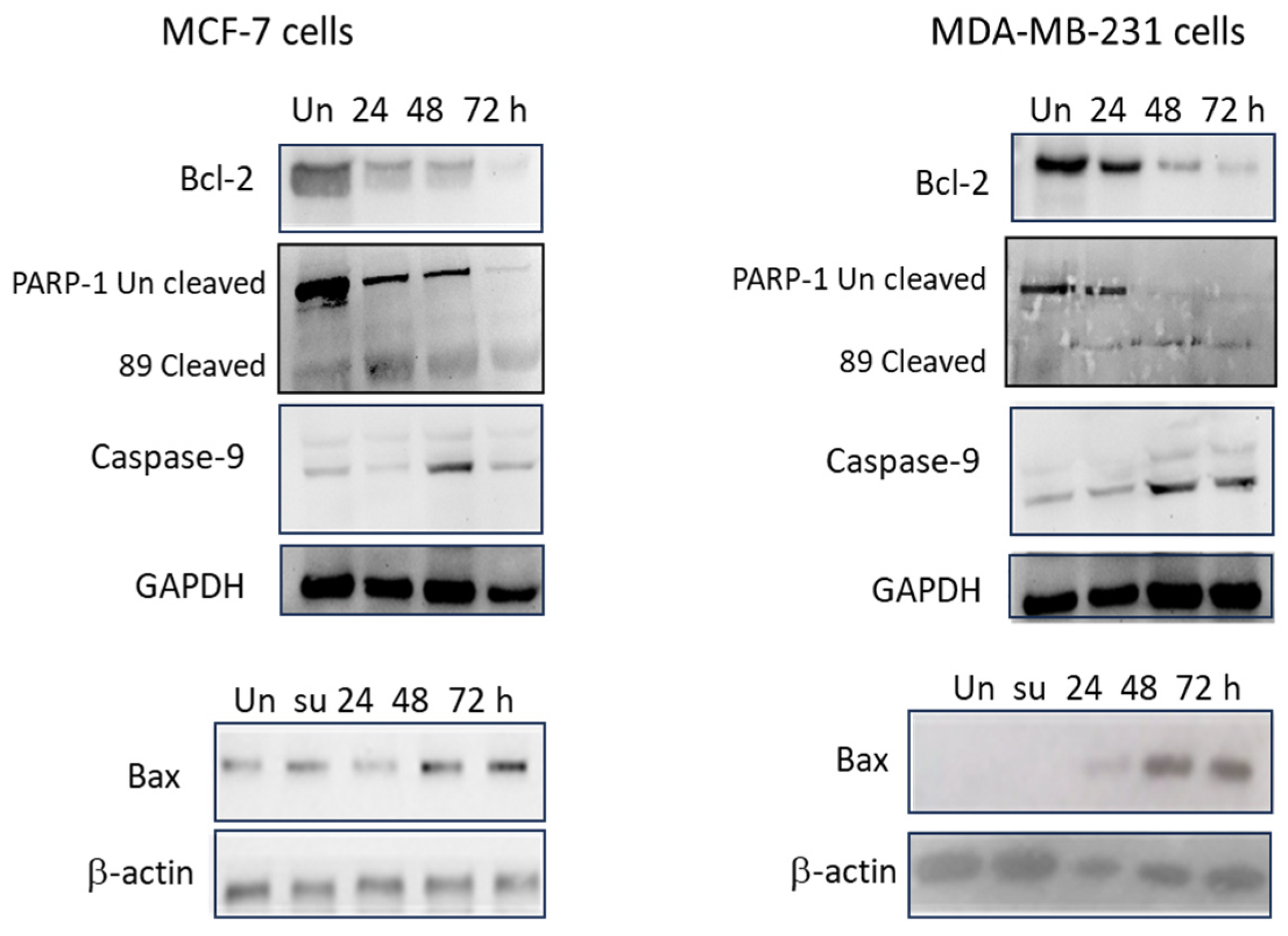 Targets 02 00004 g009