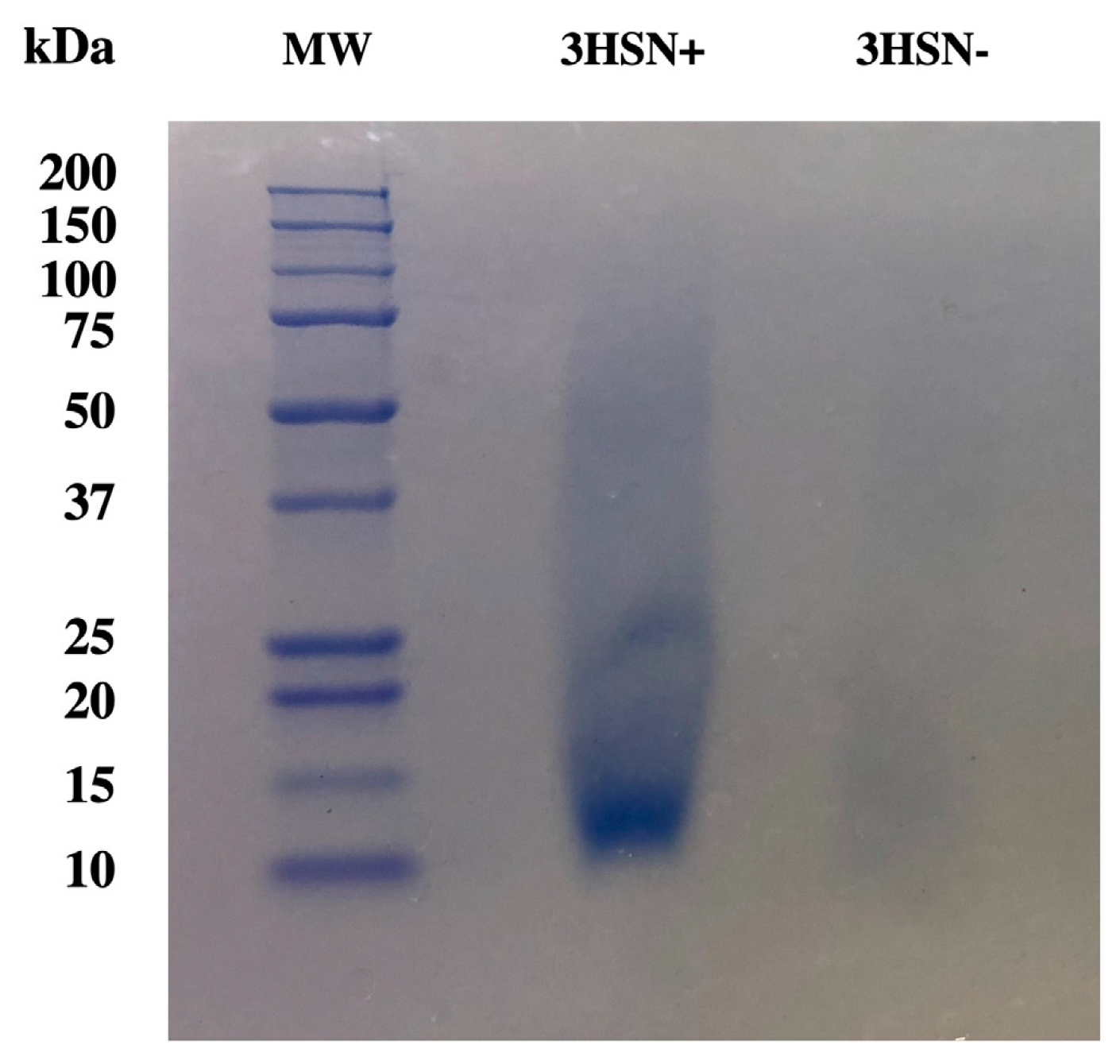 Targets 02 00005 g006
