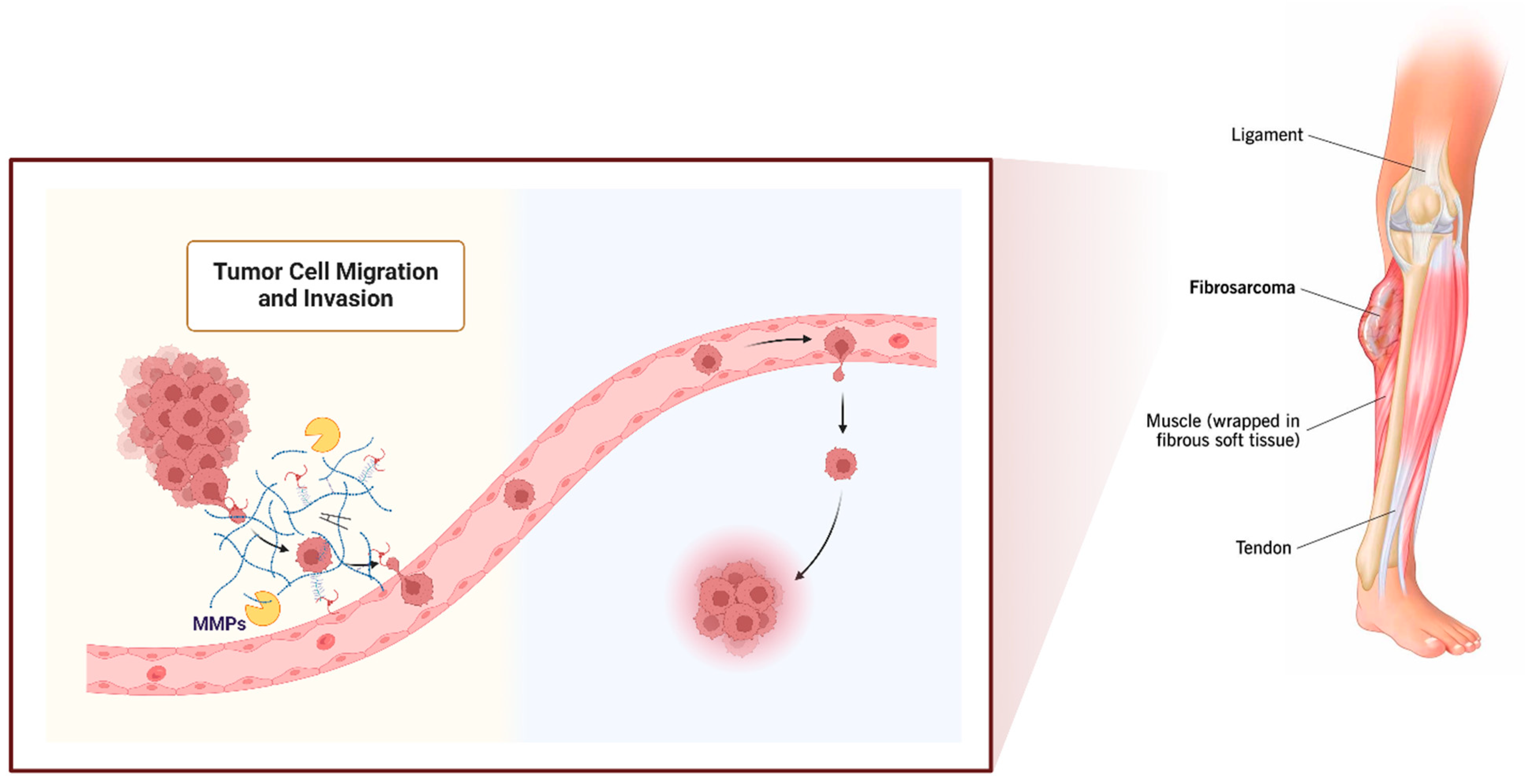 Targets 02 00007 g002