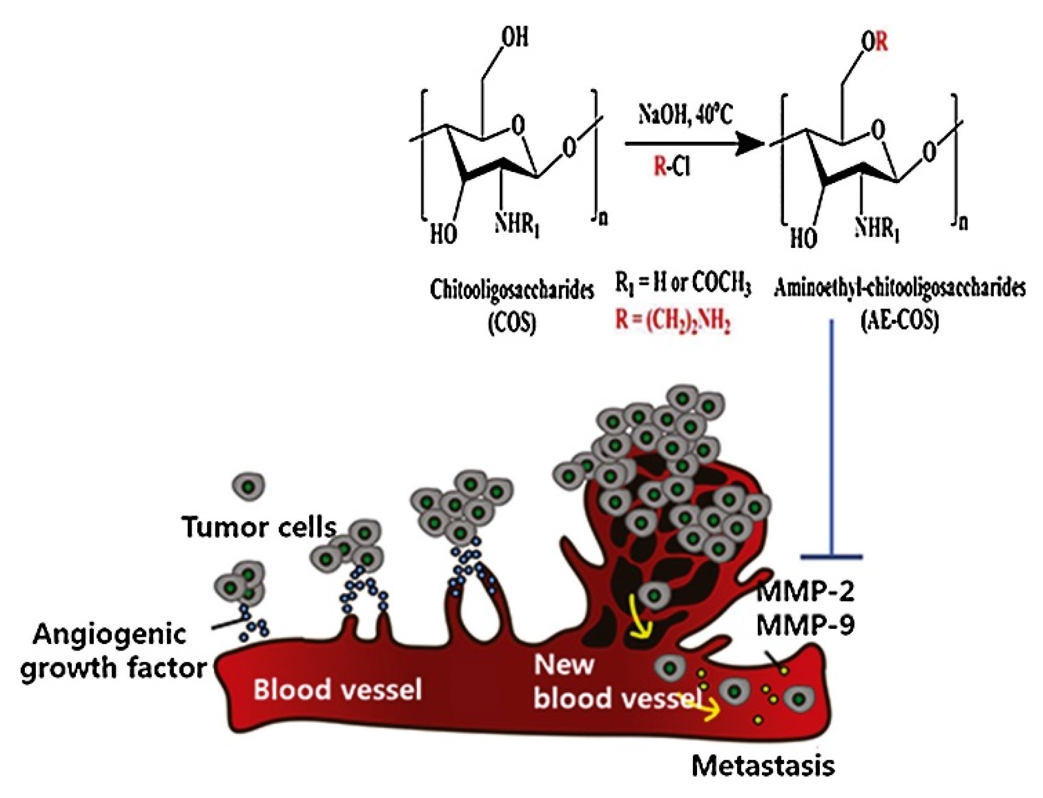 Targets 02 00007 g005