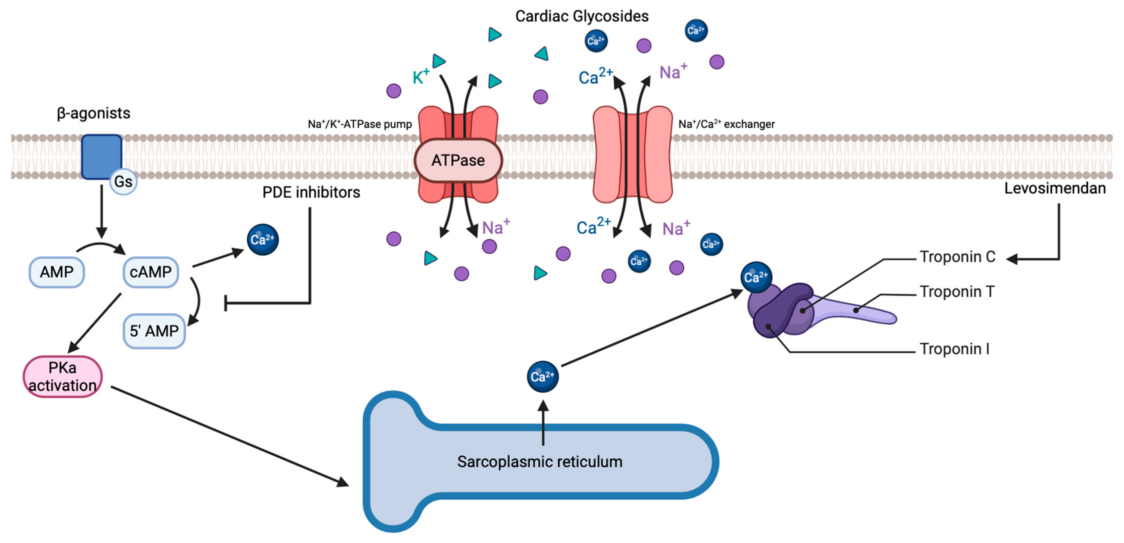 Targets 02 00009 g001