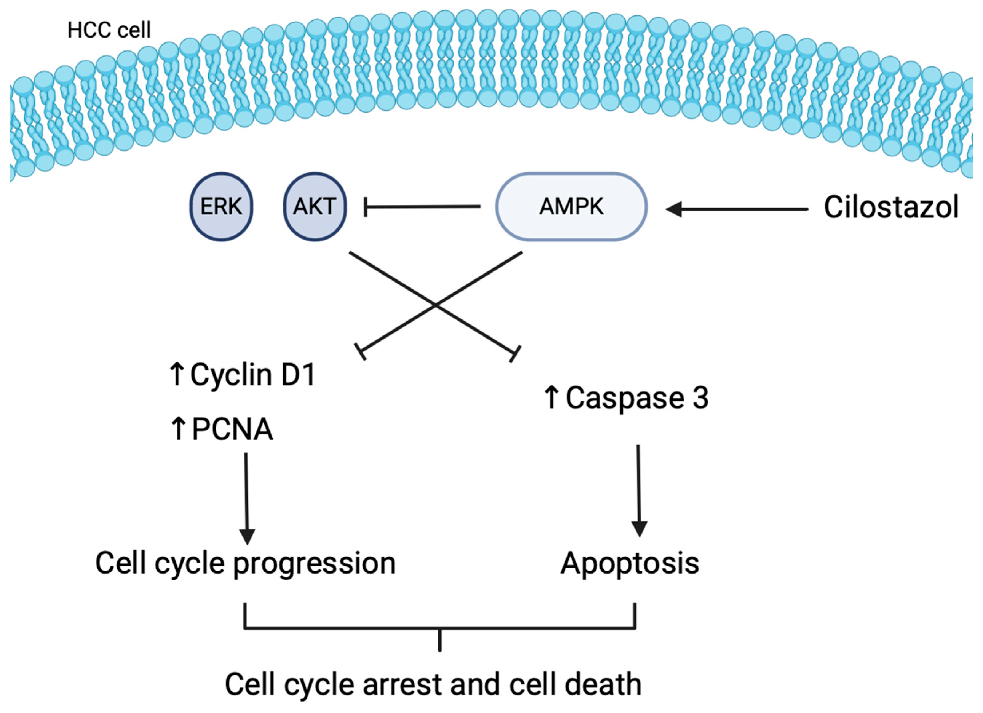 Targets 02 00009 g002