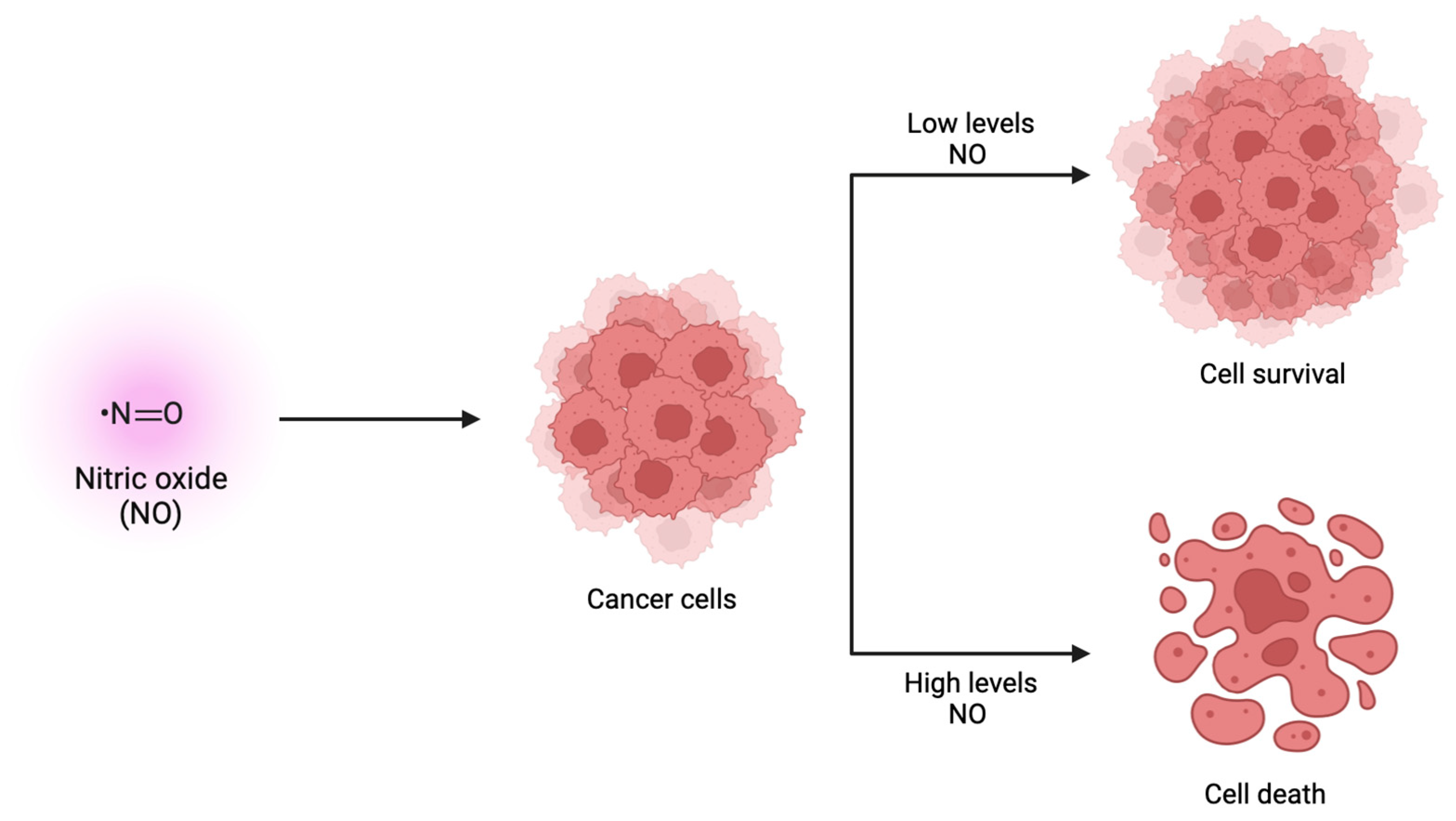 Targets 02 00009 g003
