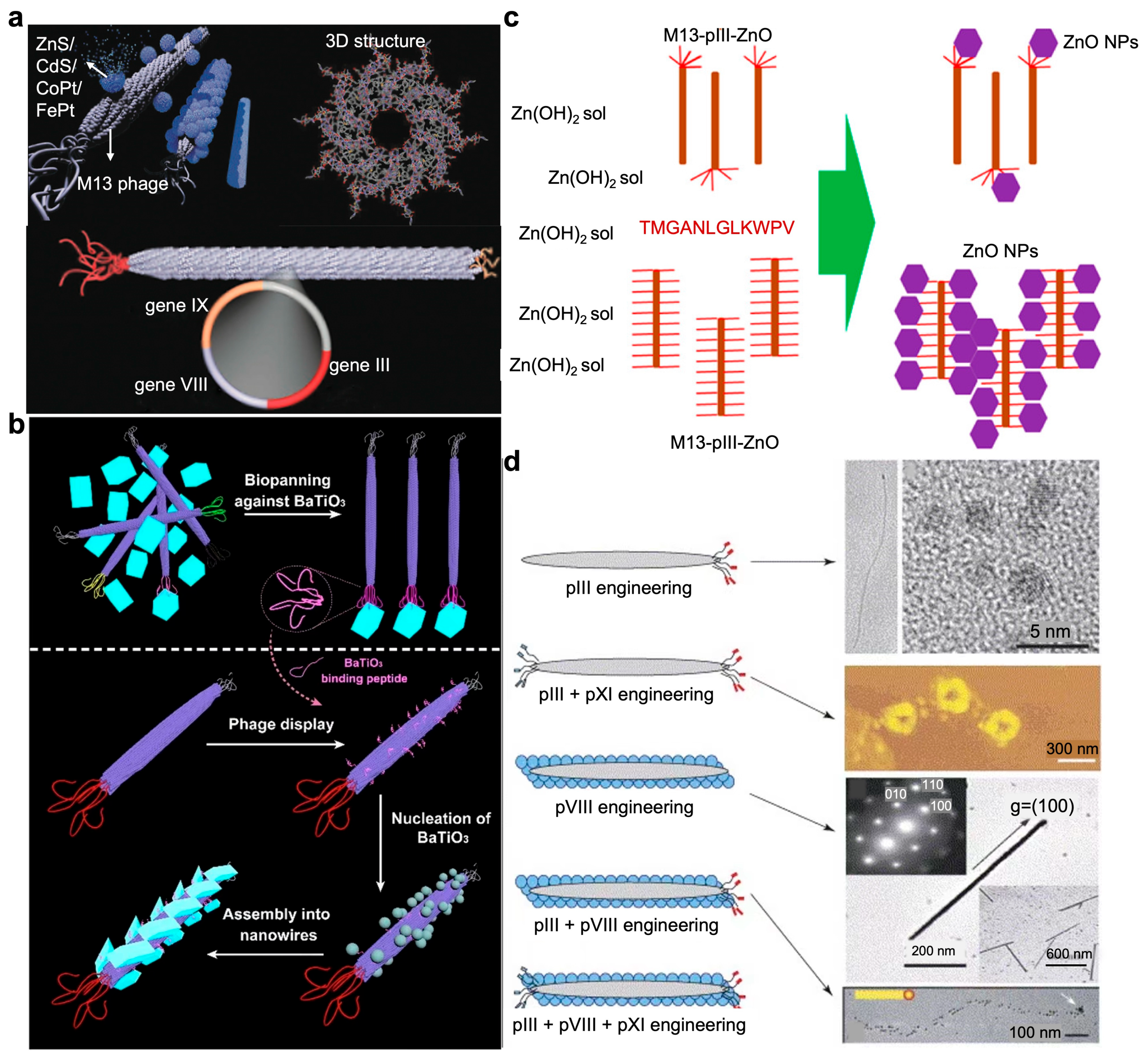 Targets 02 00010 g004