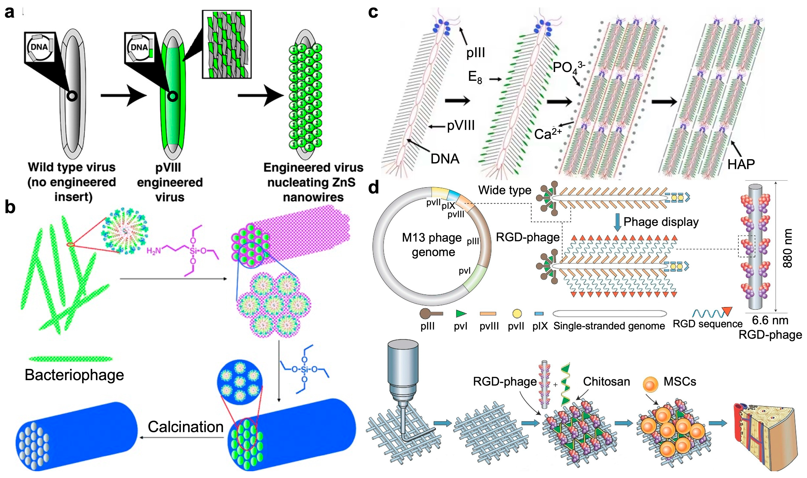 Targets 02 00010 g005