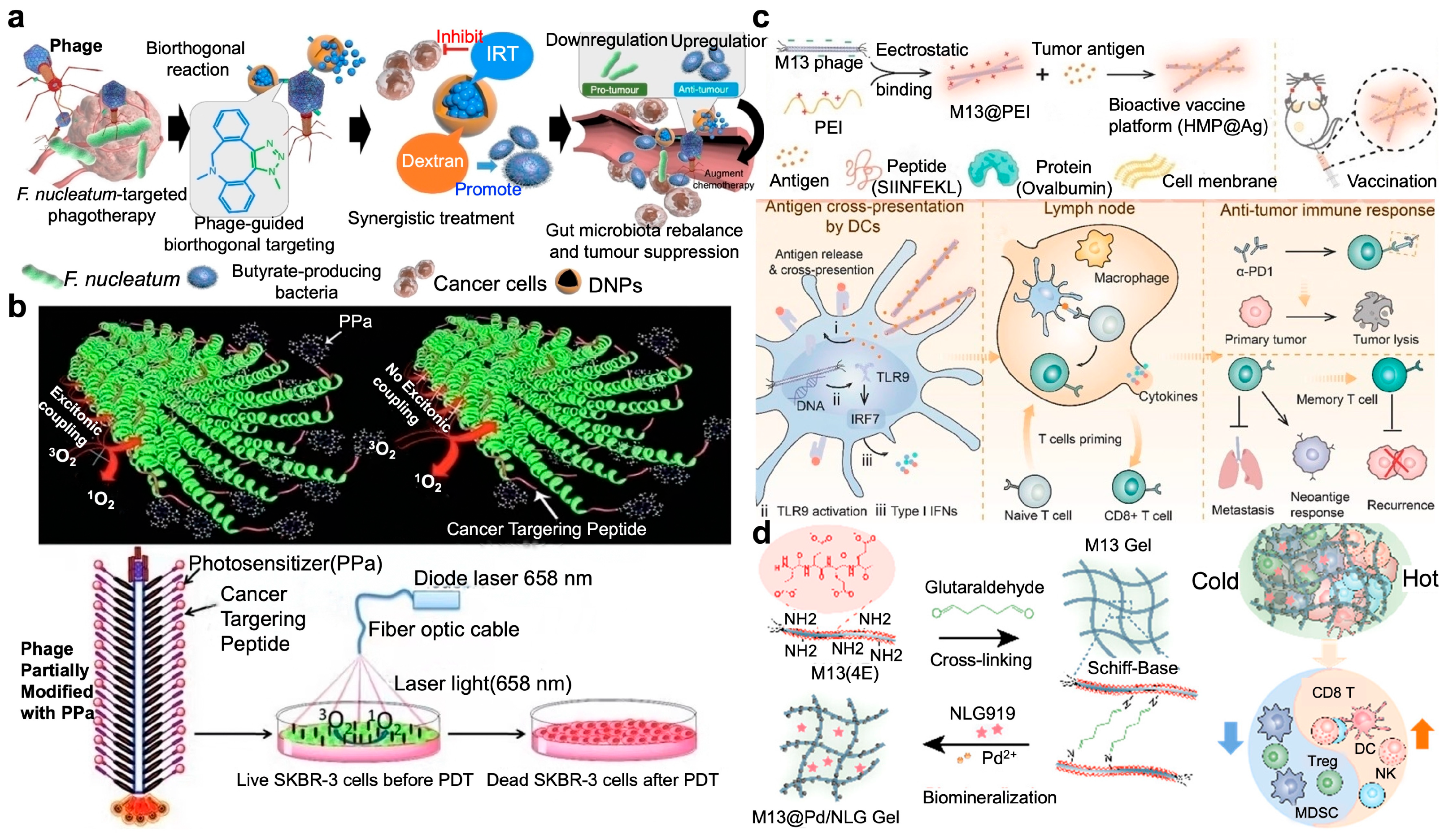 Targets 02 00010 g009