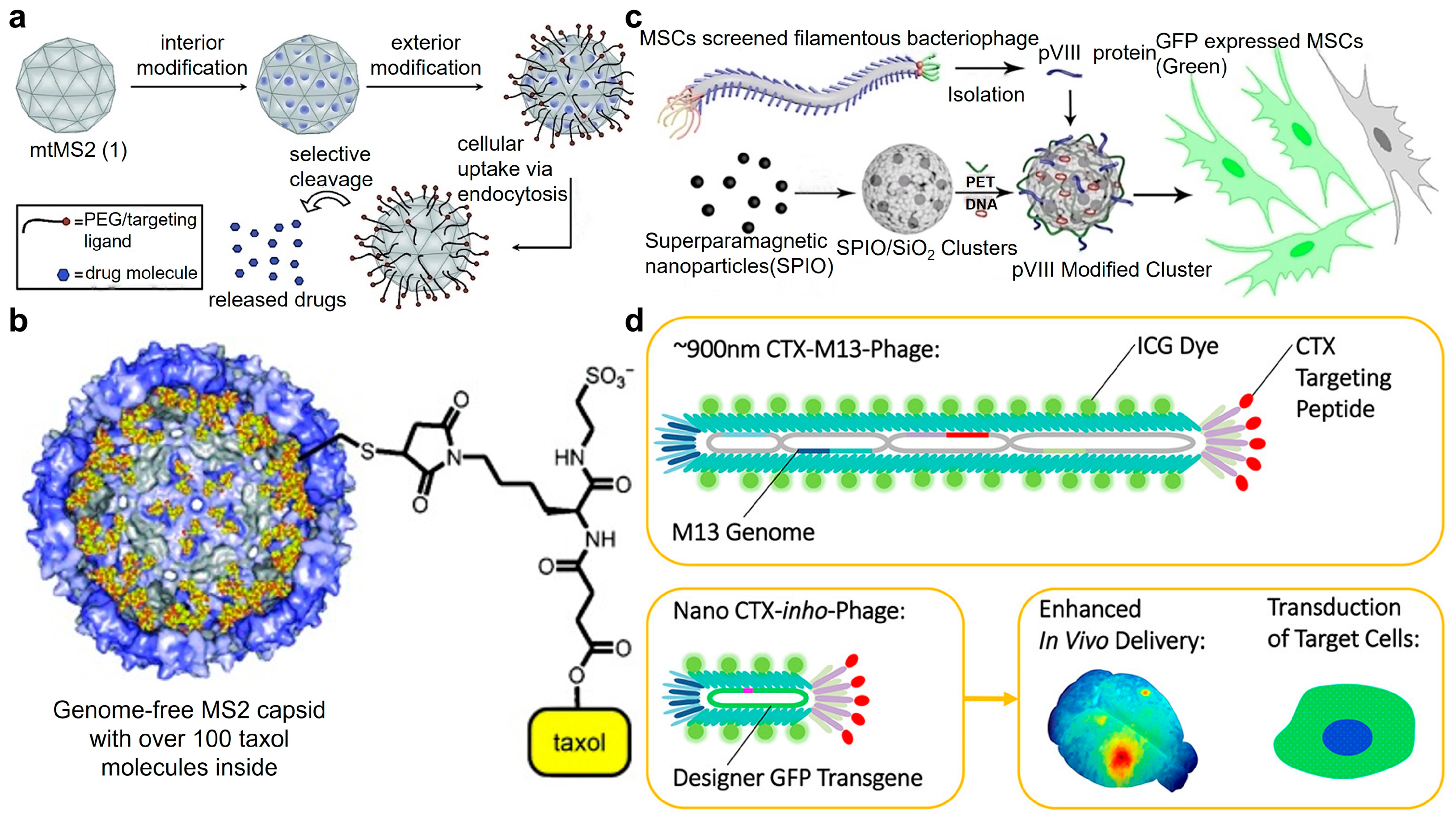 Targets 02 00010 g010