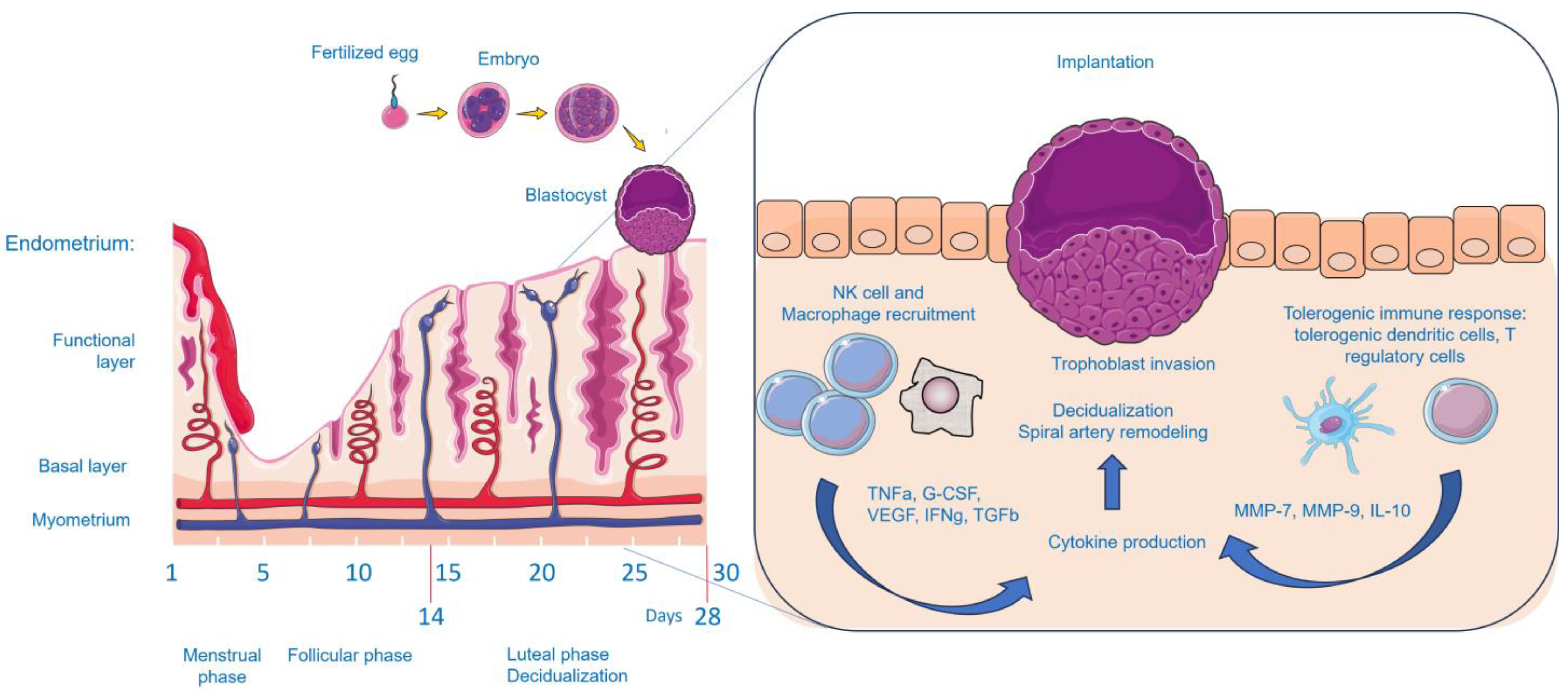 Targets 02 00017 g001 Targets 02 00017 g001