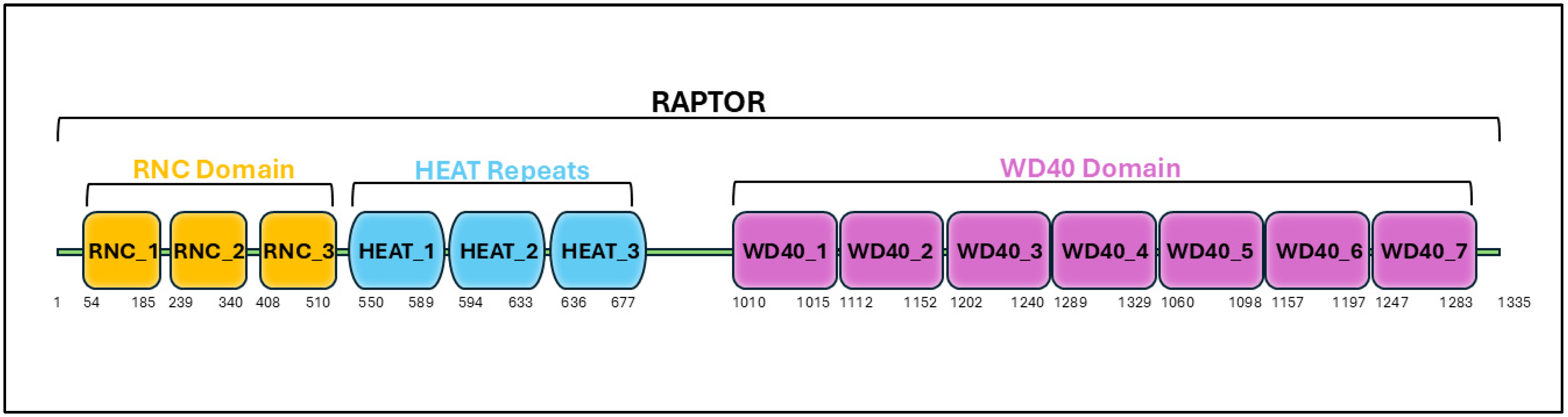 Targets 02 00020 g002 Targets 02 00020 g002