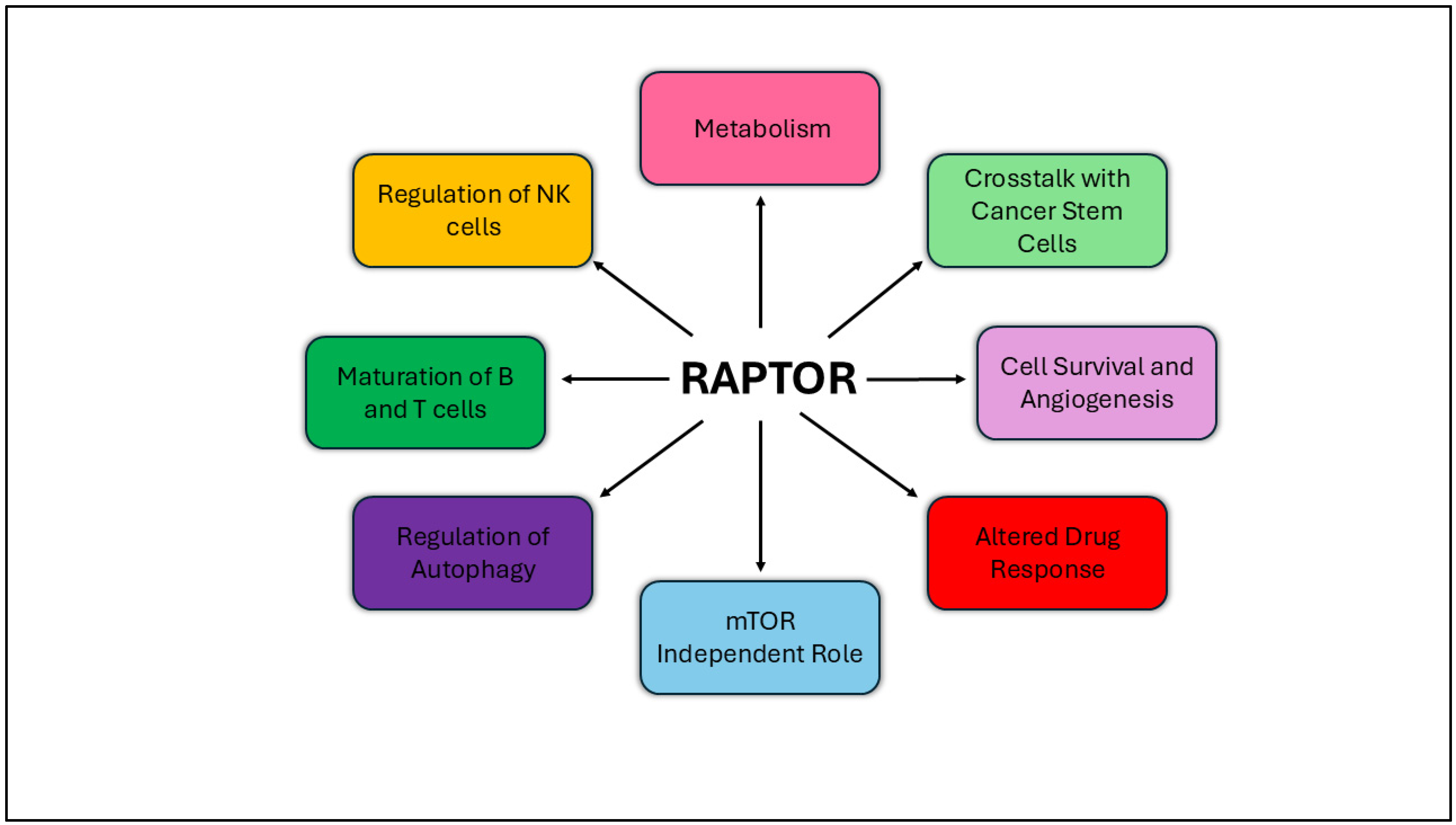 Targets 02 00020 g004 Targets 02 00020 g004