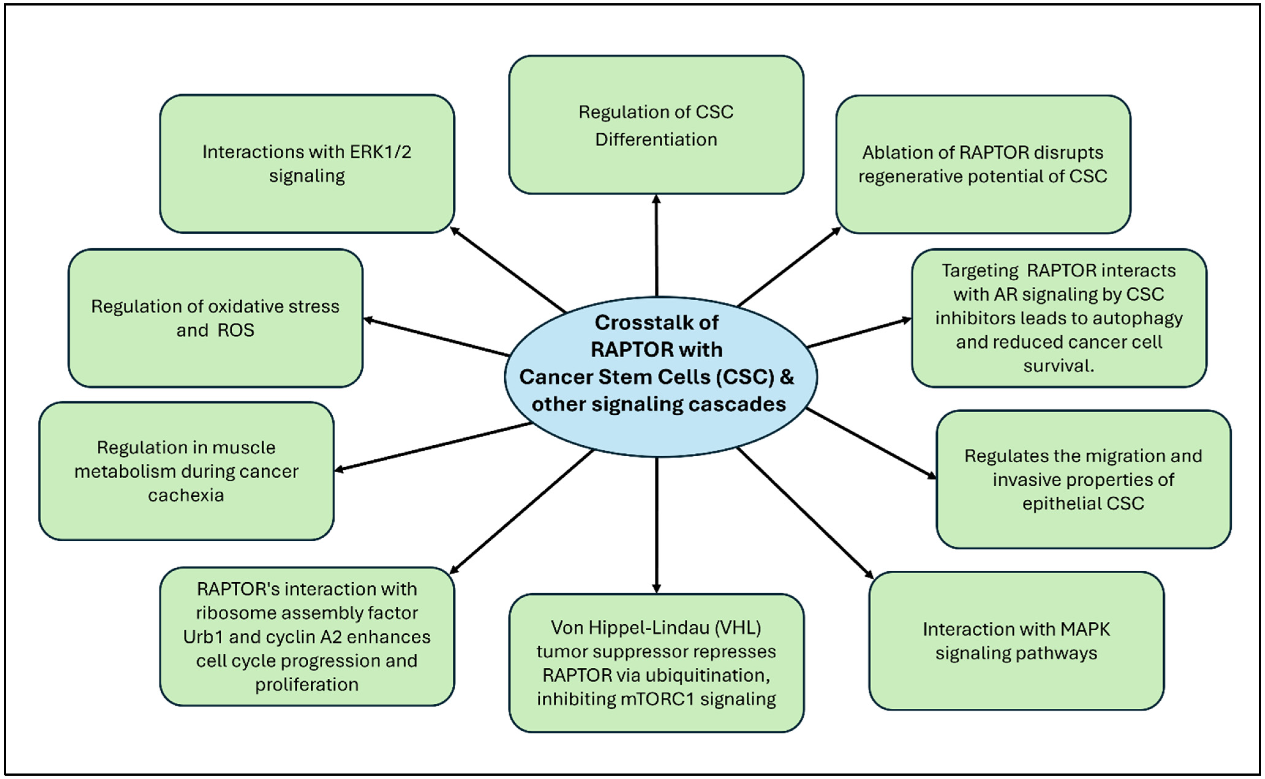 Targets 02 00020 g008 Targets 02 00020 g008