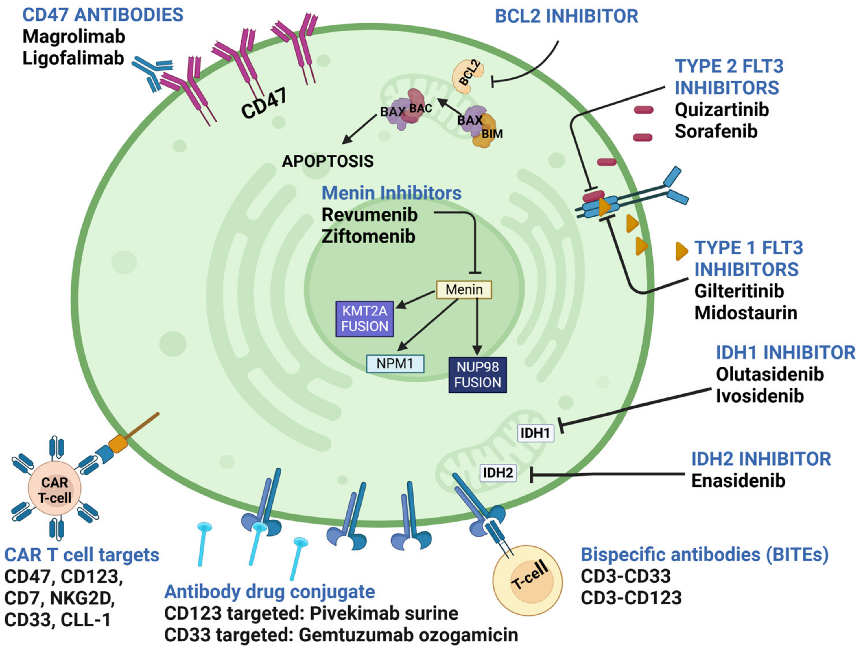 Targets 02 00023 g001