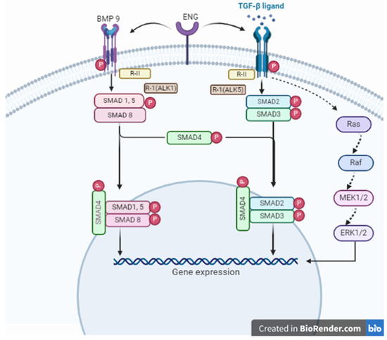 Therapeutic Resolution of Pulmonary Arterial Hypertension