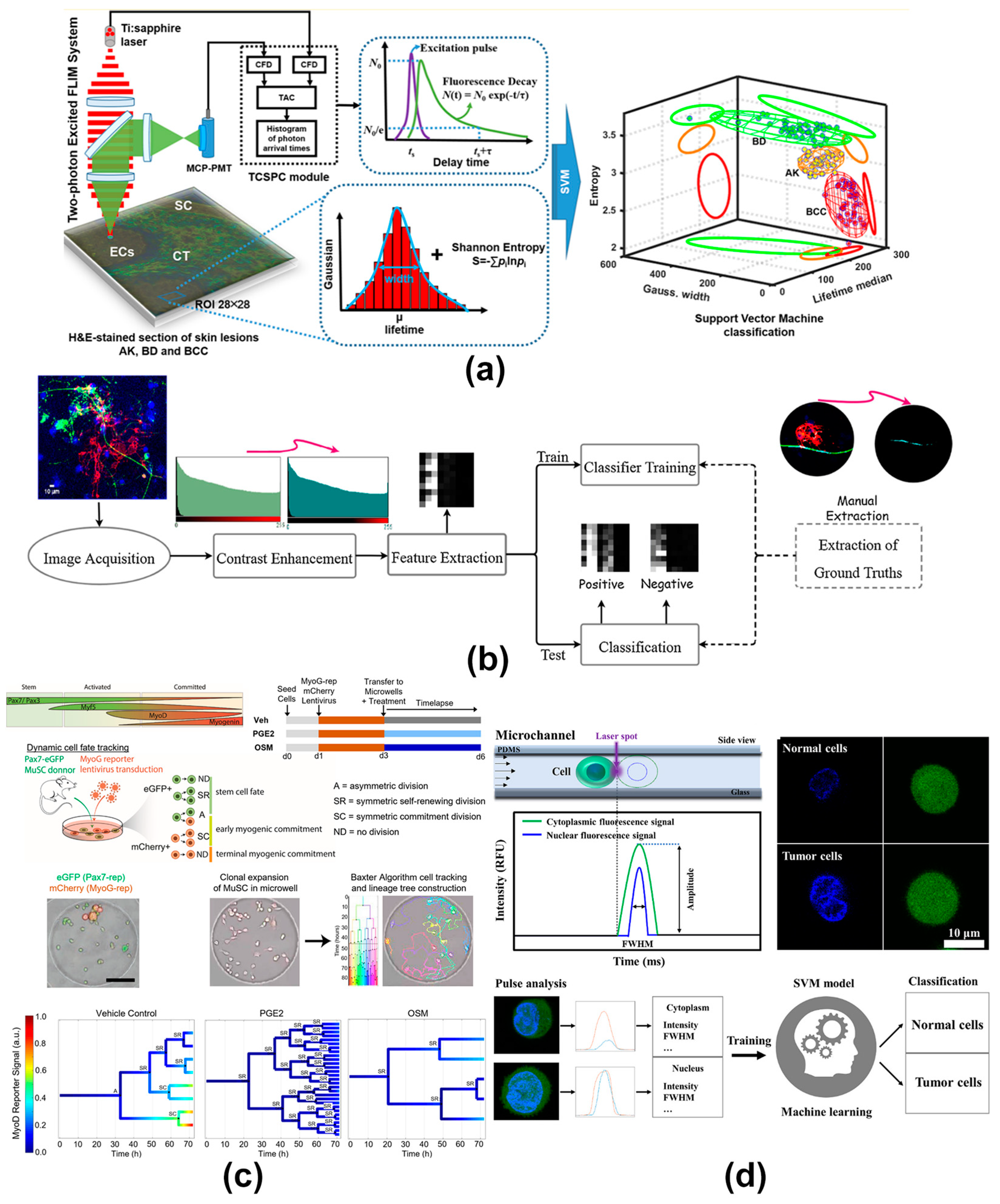 Targets 03 00002 g004