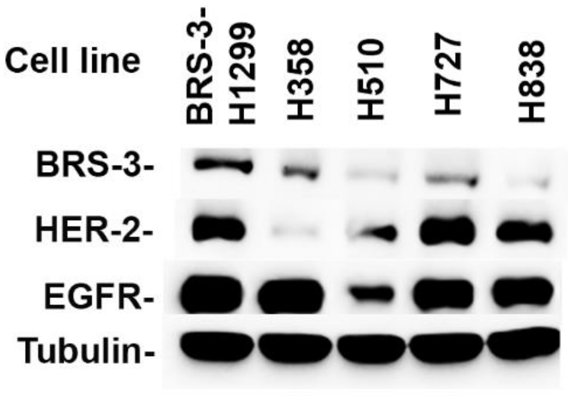 Targets 03 00007 g001