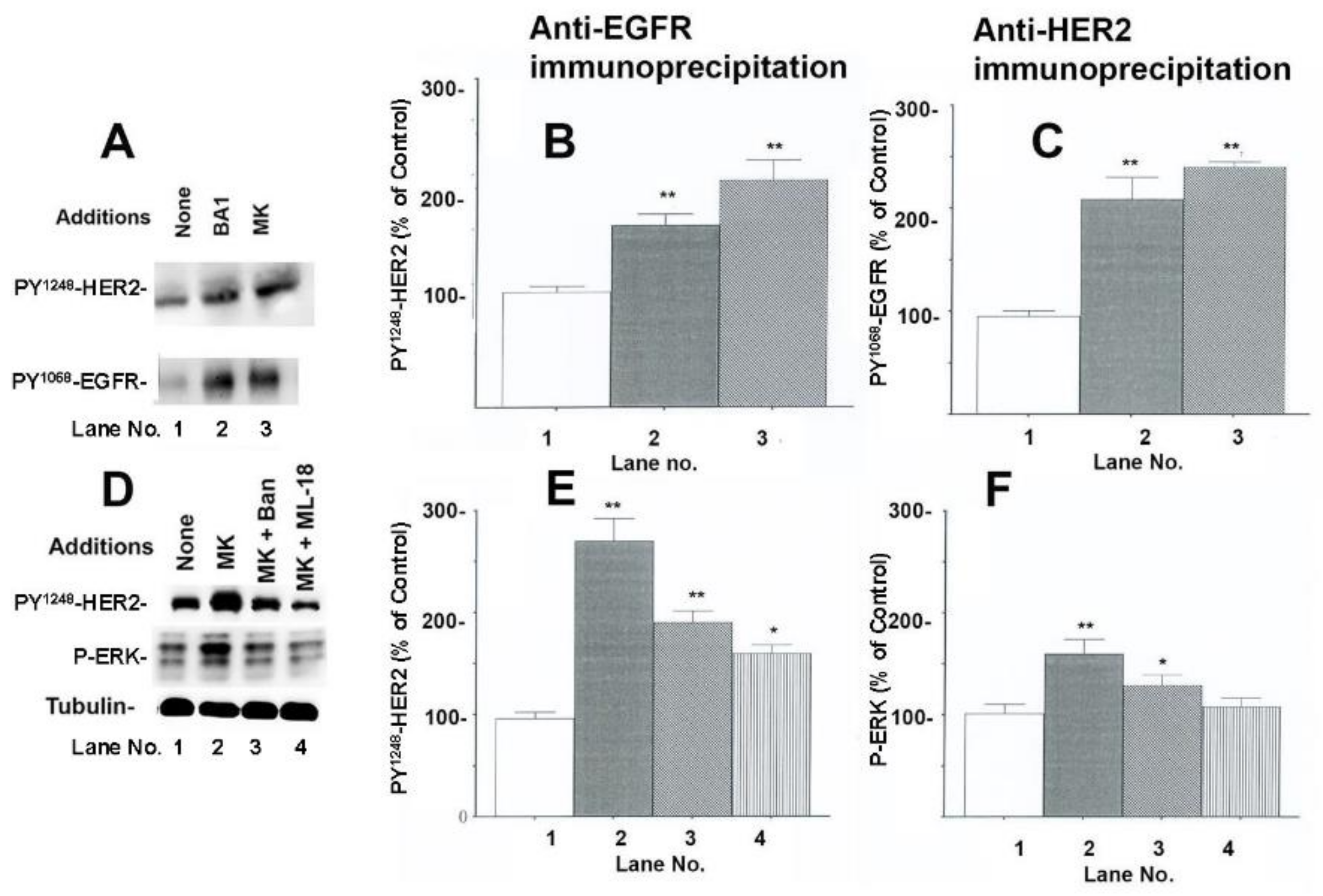 Targets 03 00007 g003
