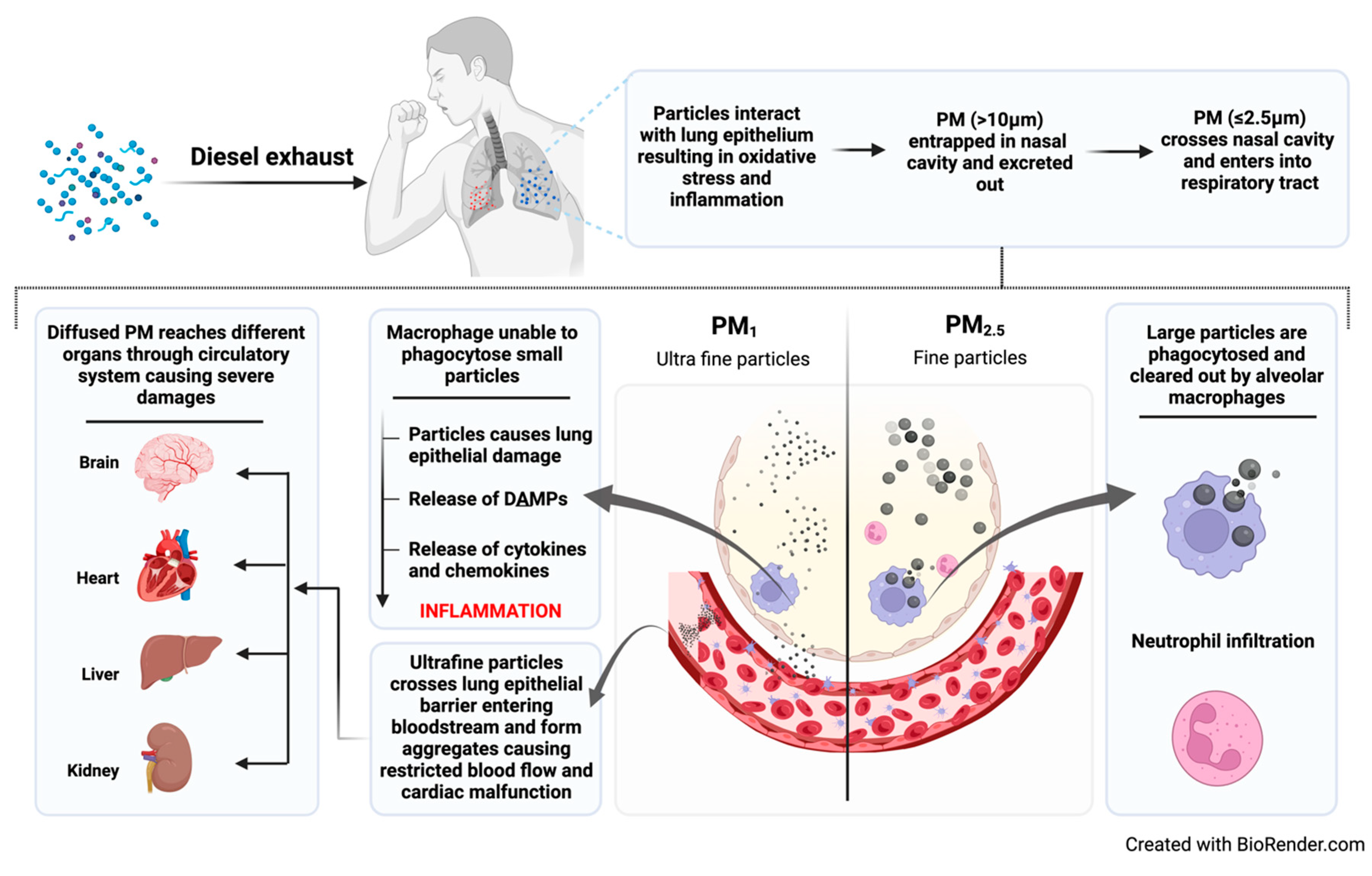 Targets 03 00014 g001 Targets 03 00014 g001